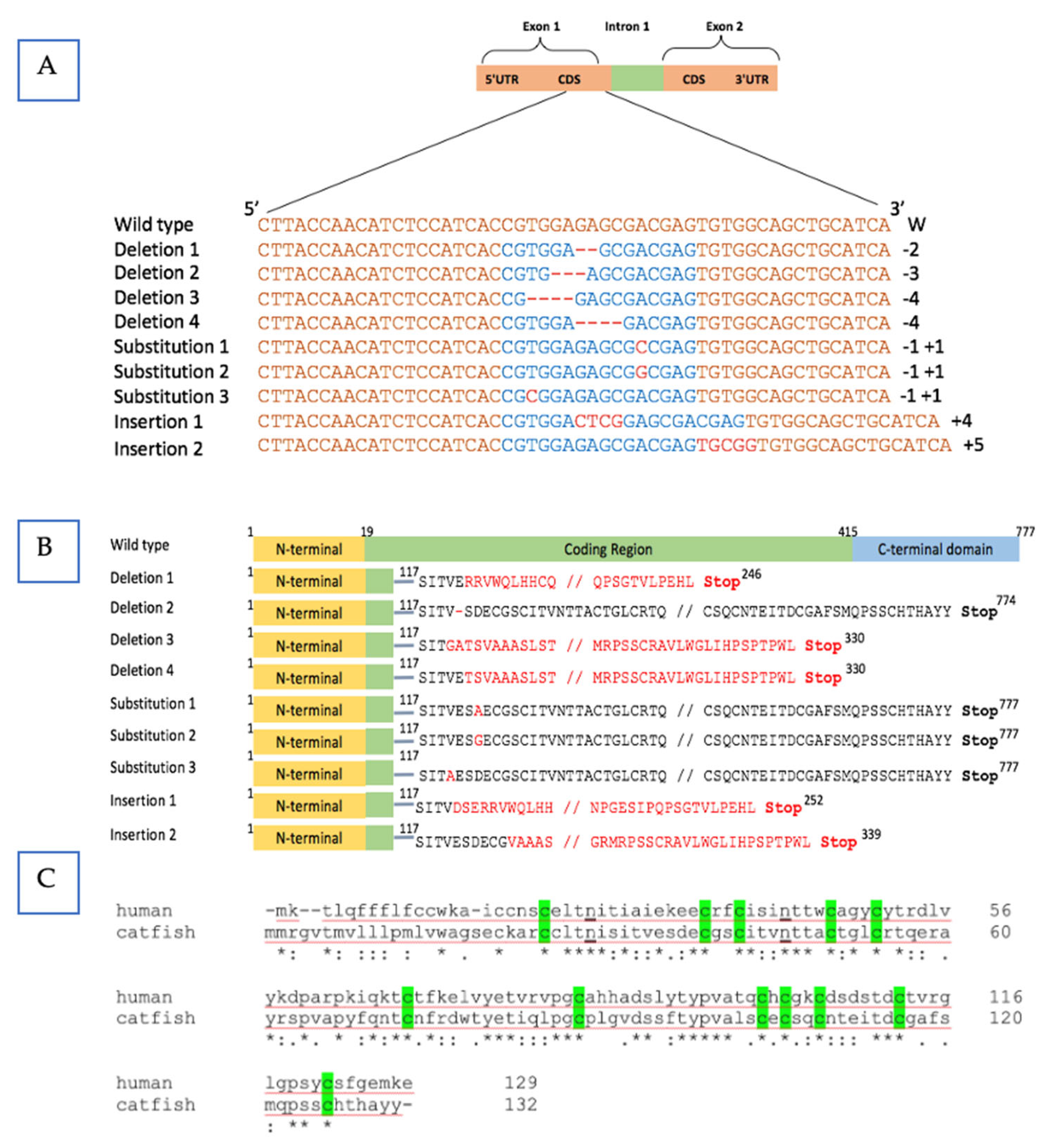 Biology 12 00392 g002