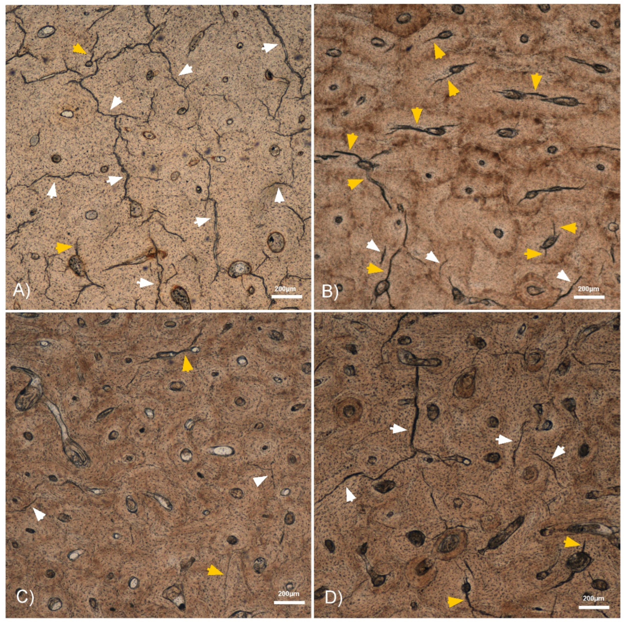 Biology 12 00399 g002
