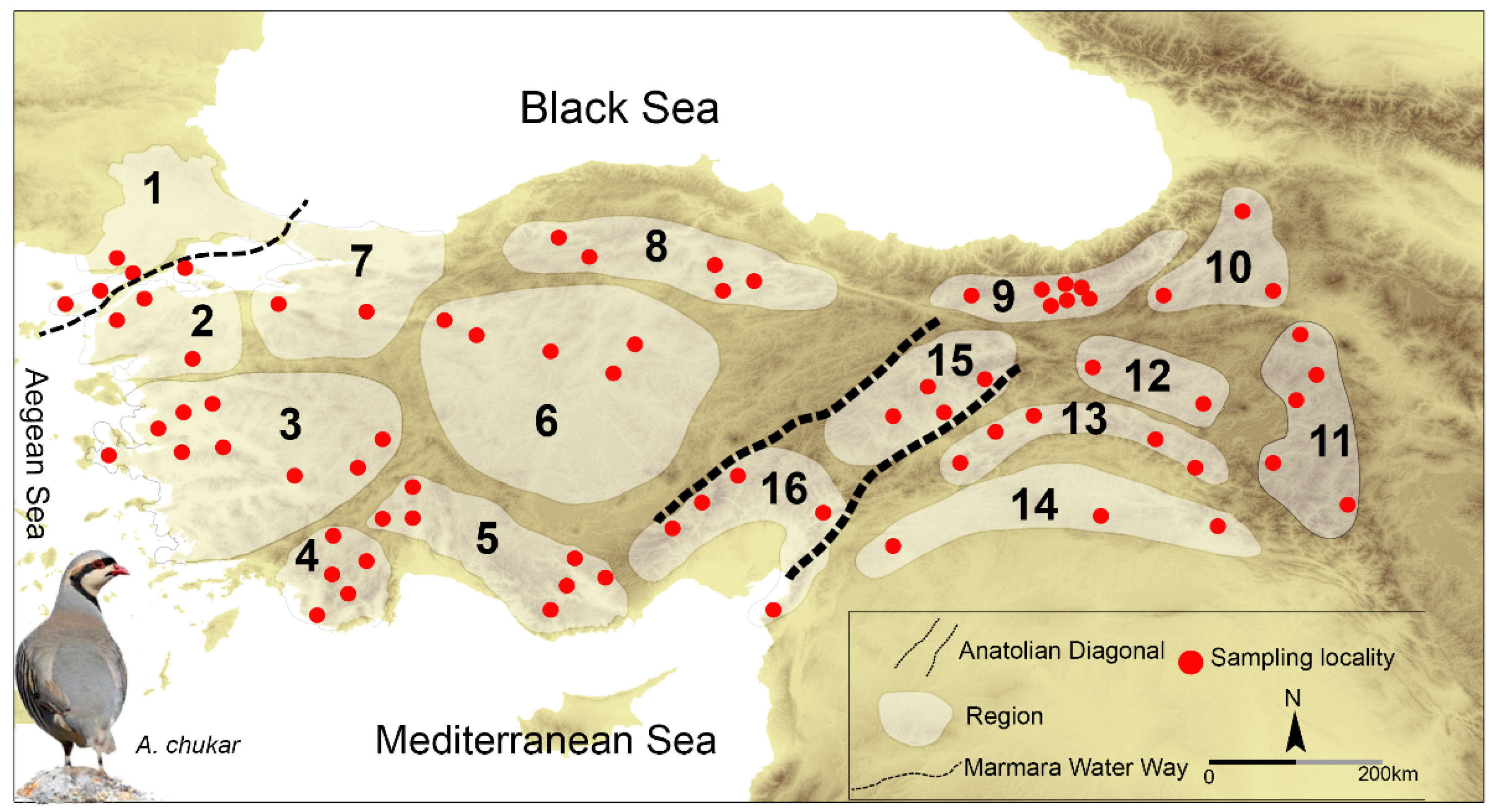 Biology 12 00401 g001 Biology 12 00401 g001