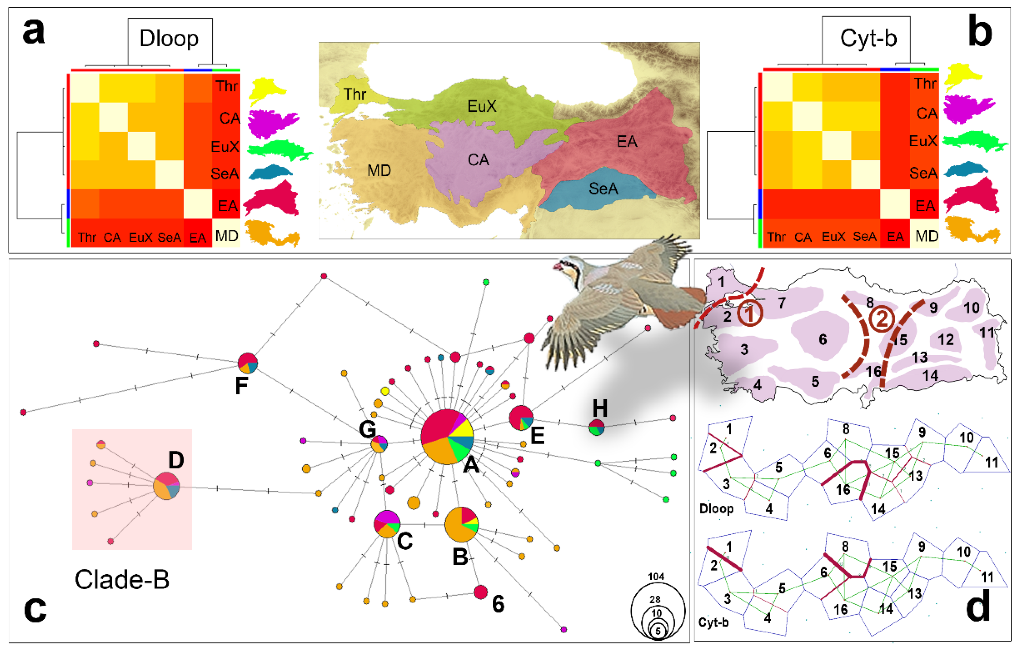 Biology 12 00401 g002 Biology 12 00401 g002