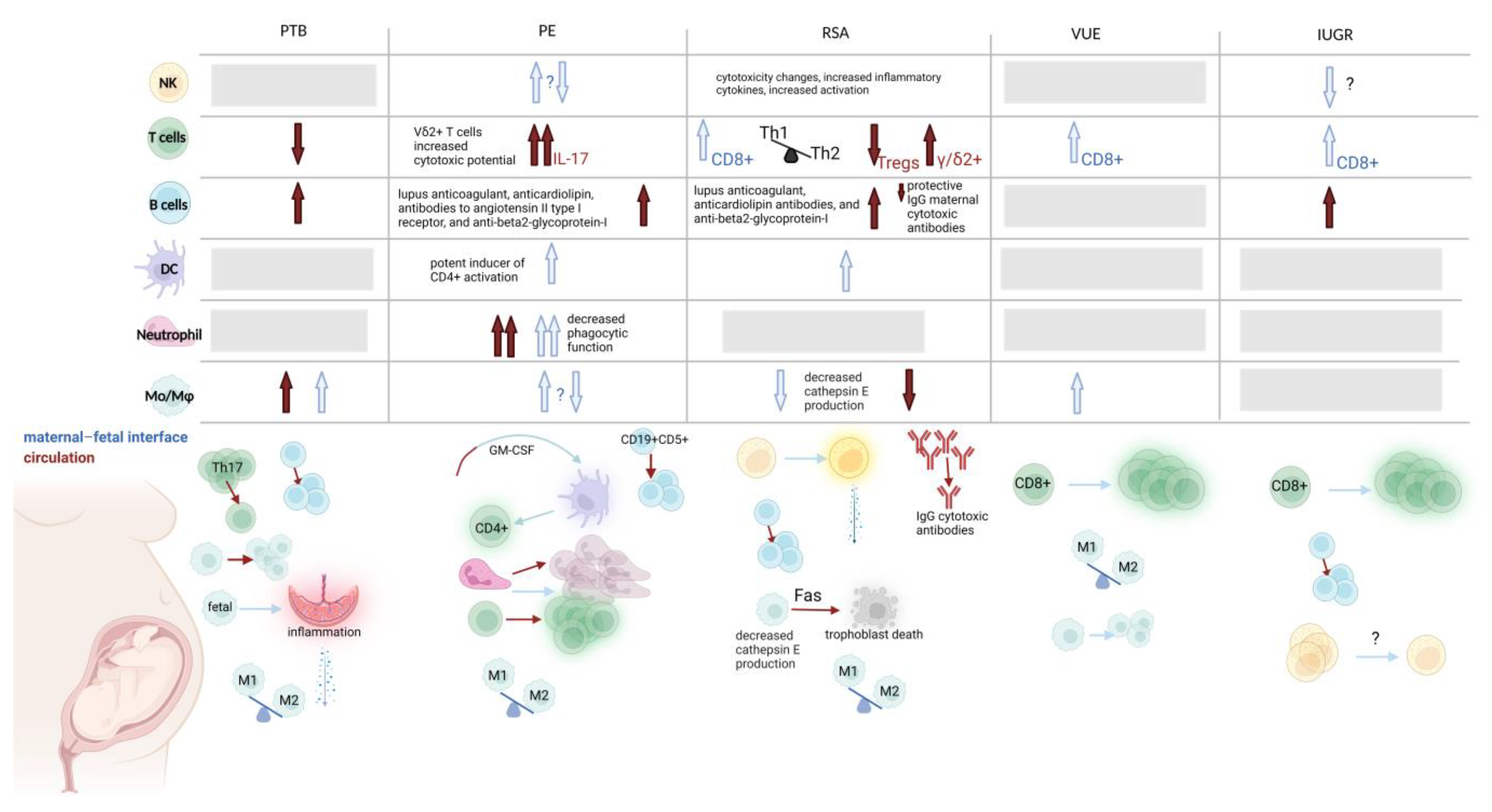 Biology 12 00402 g002 Biology 12 00402 g002