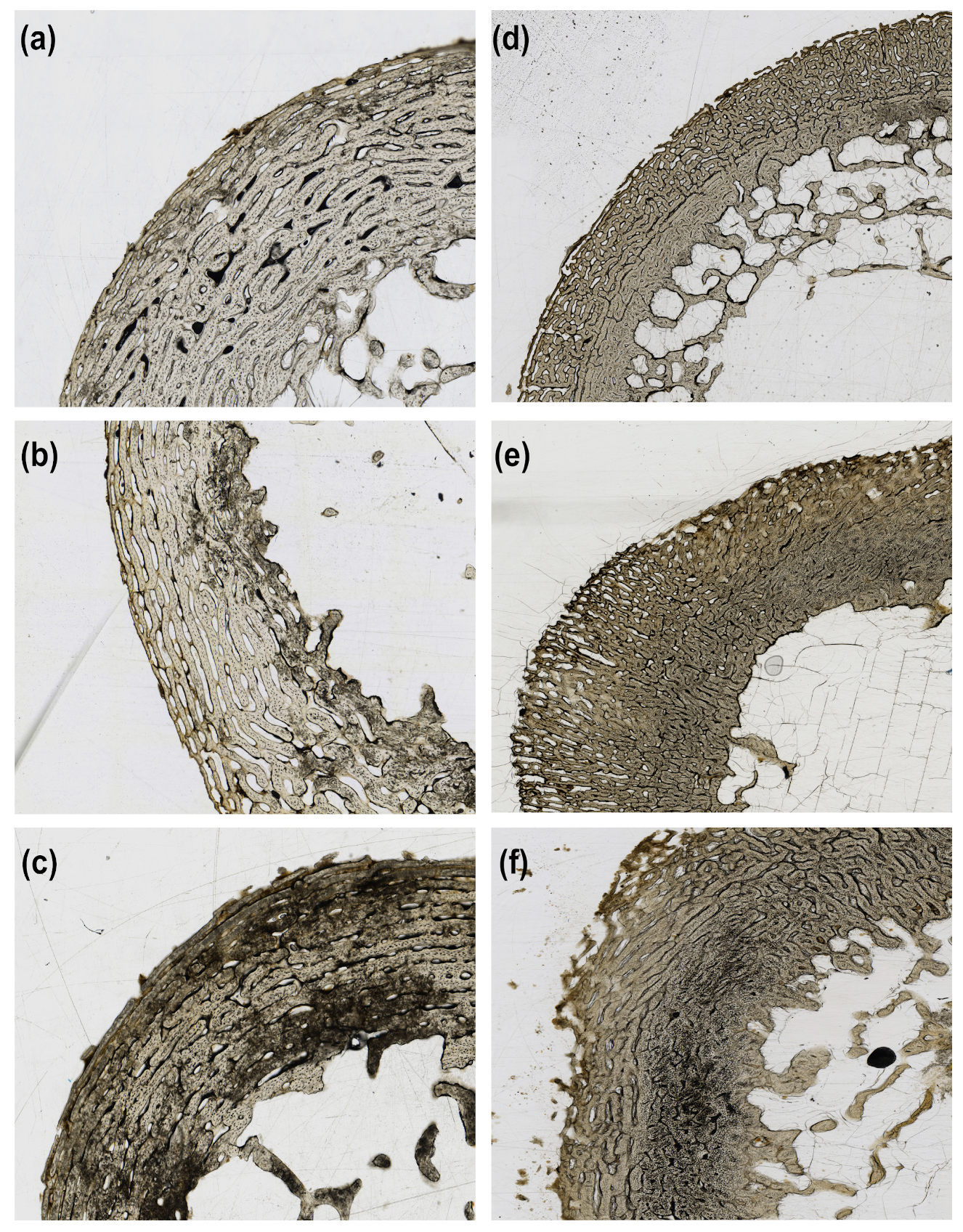 Biology 12 00403 g002