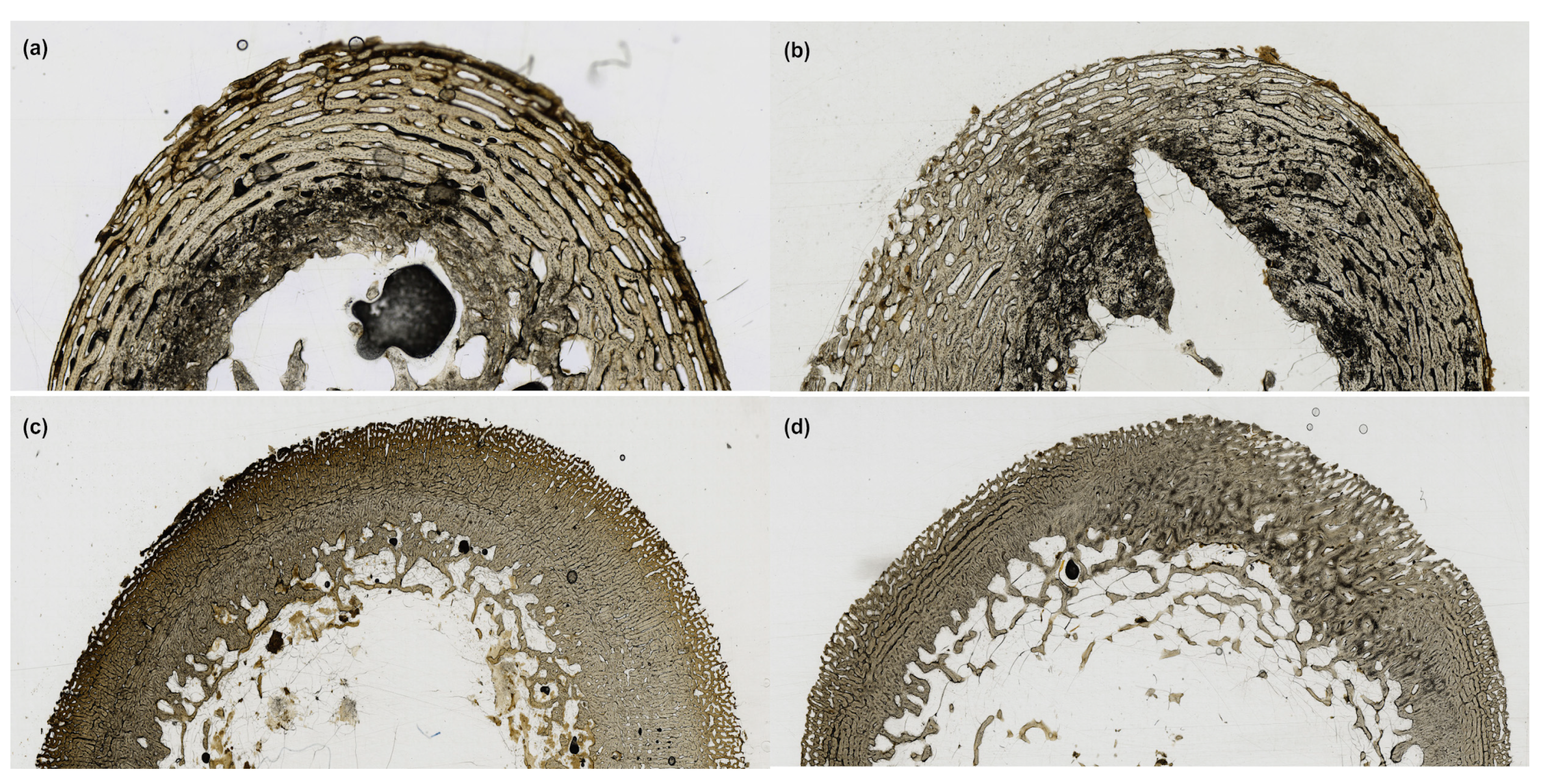 Biology 12 00403 g003