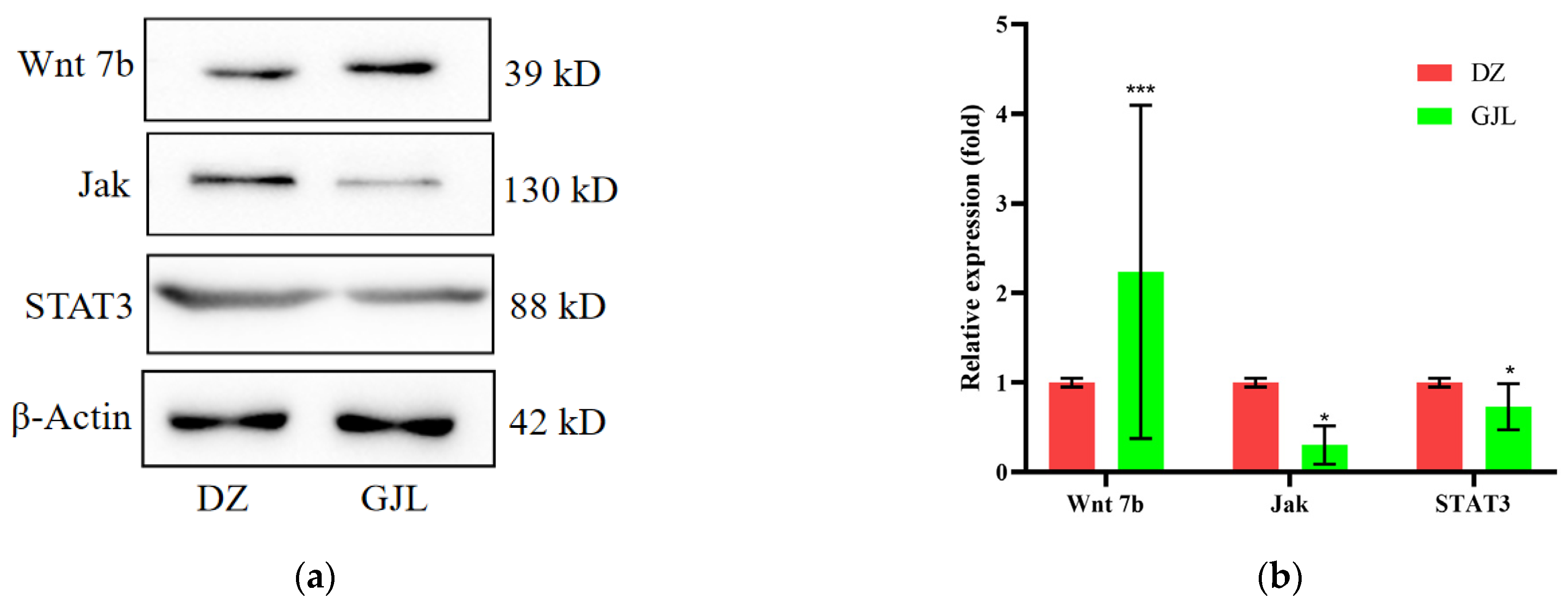 Biology 12 00405 g006 Biology 12 00405 g006