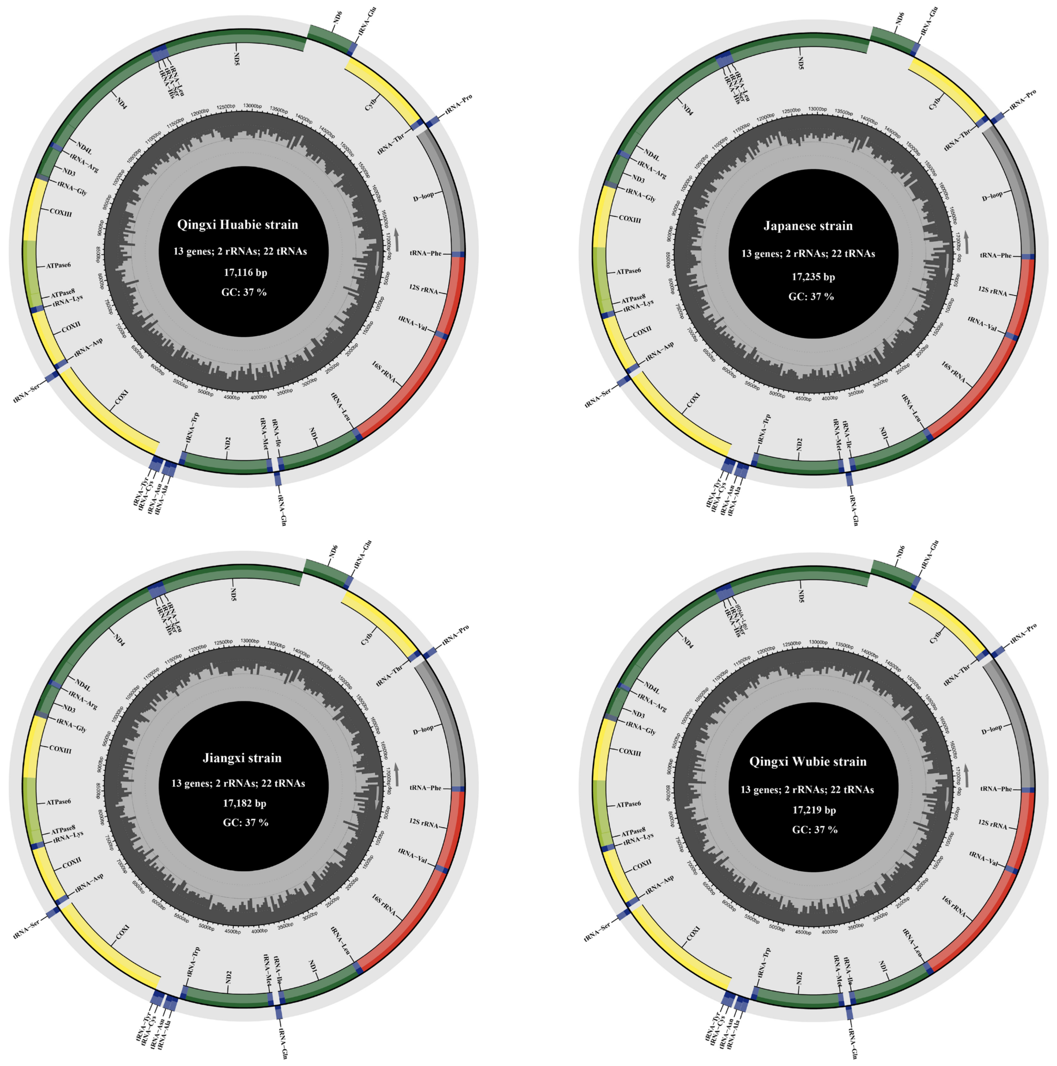 Biology 12 00406 g001 Biology 12 00406 g001