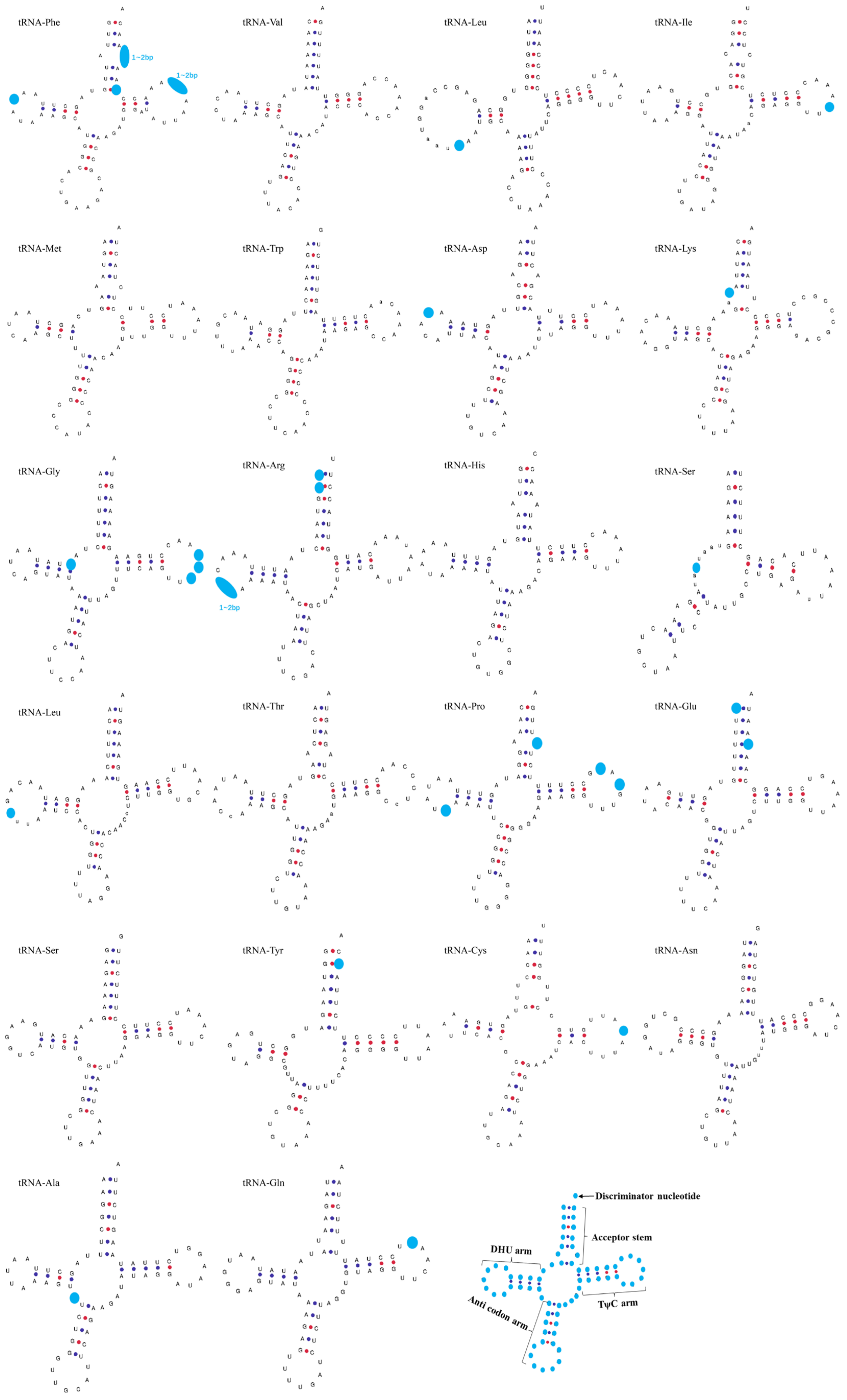 Biology 12 00406 g006 Biology 12 00406 g006