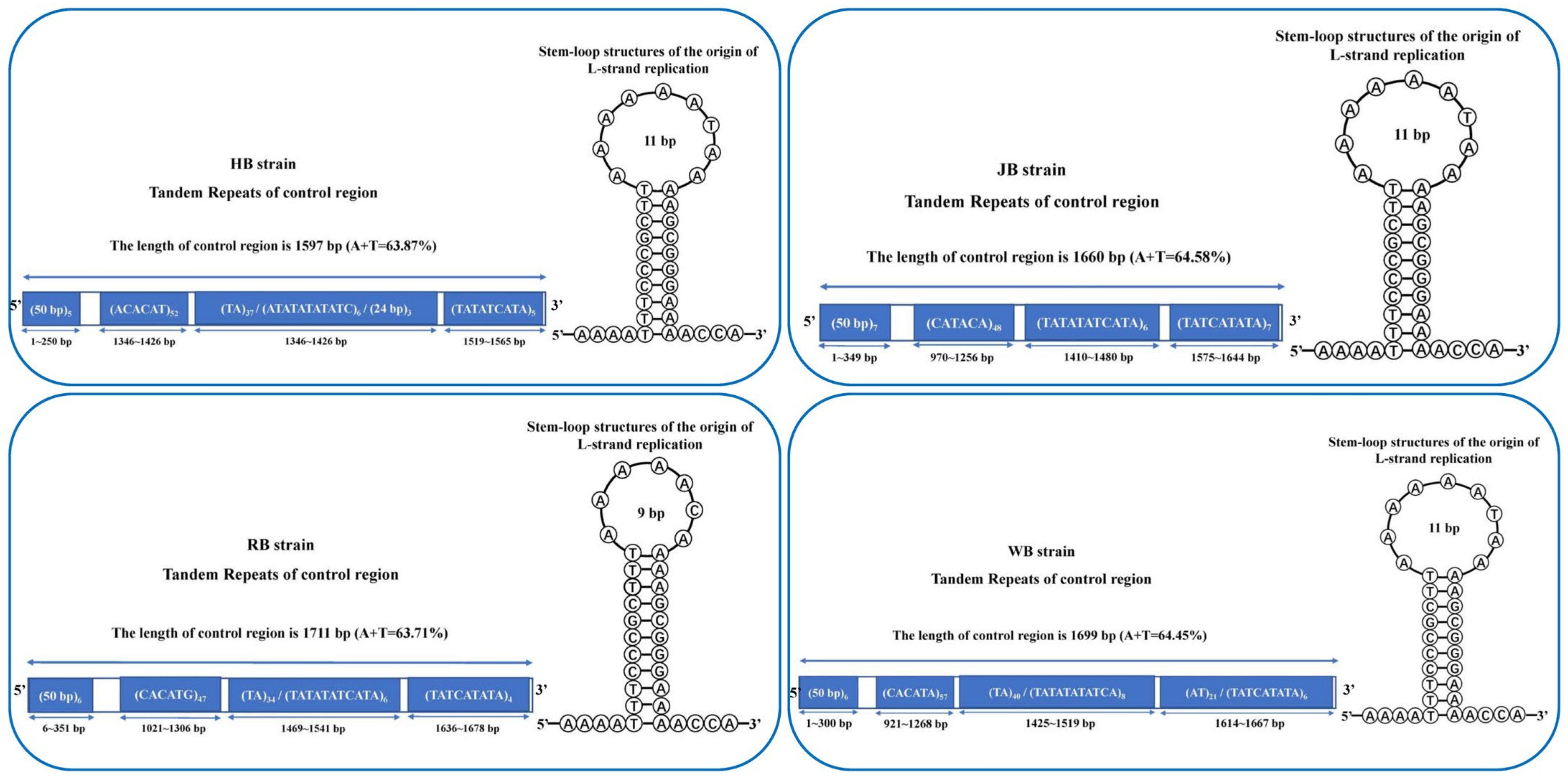 Biology 12 00406 g007 Biology 12 00406 g007