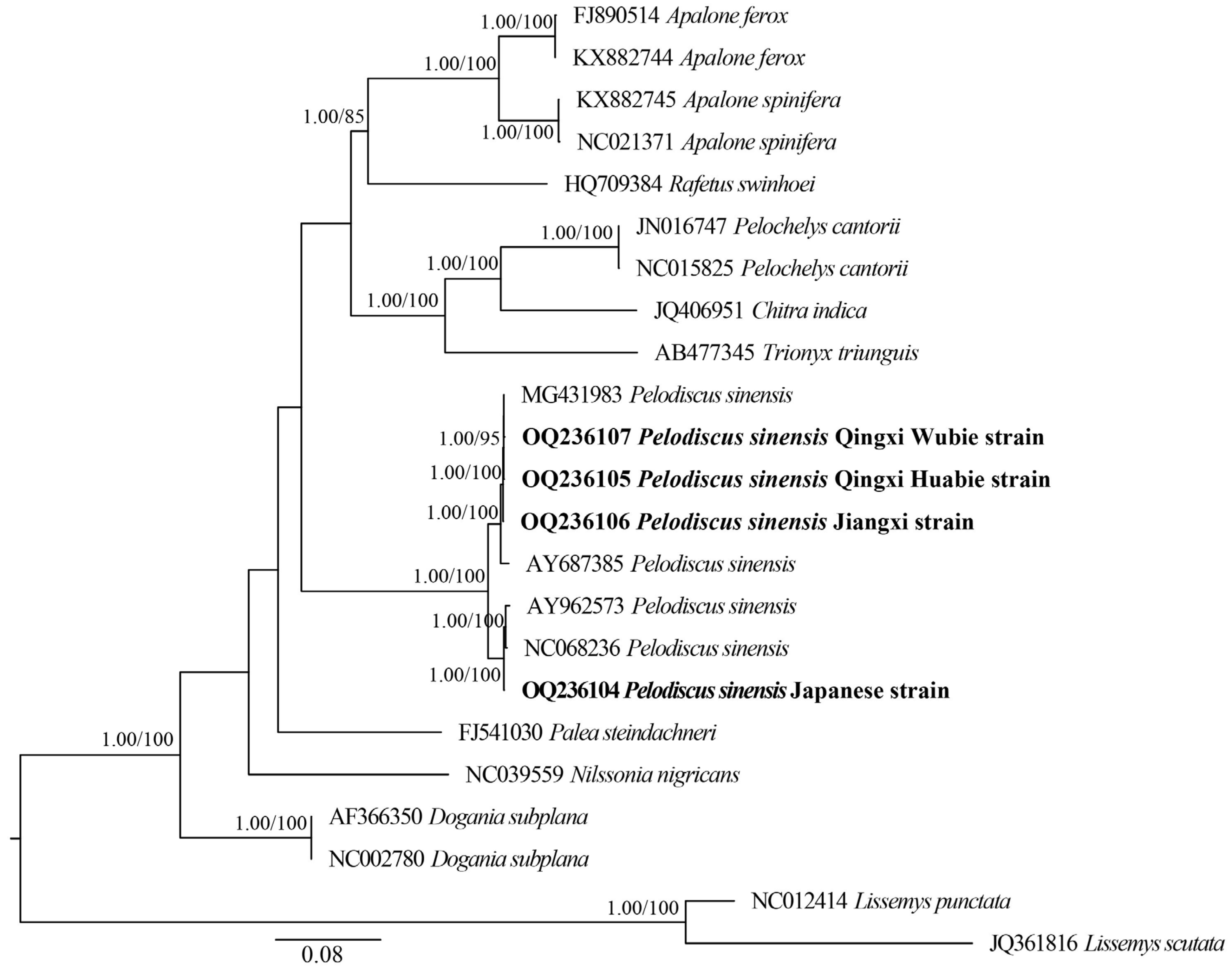 Biology 12 00406 g008 Biology 12 00406 g008