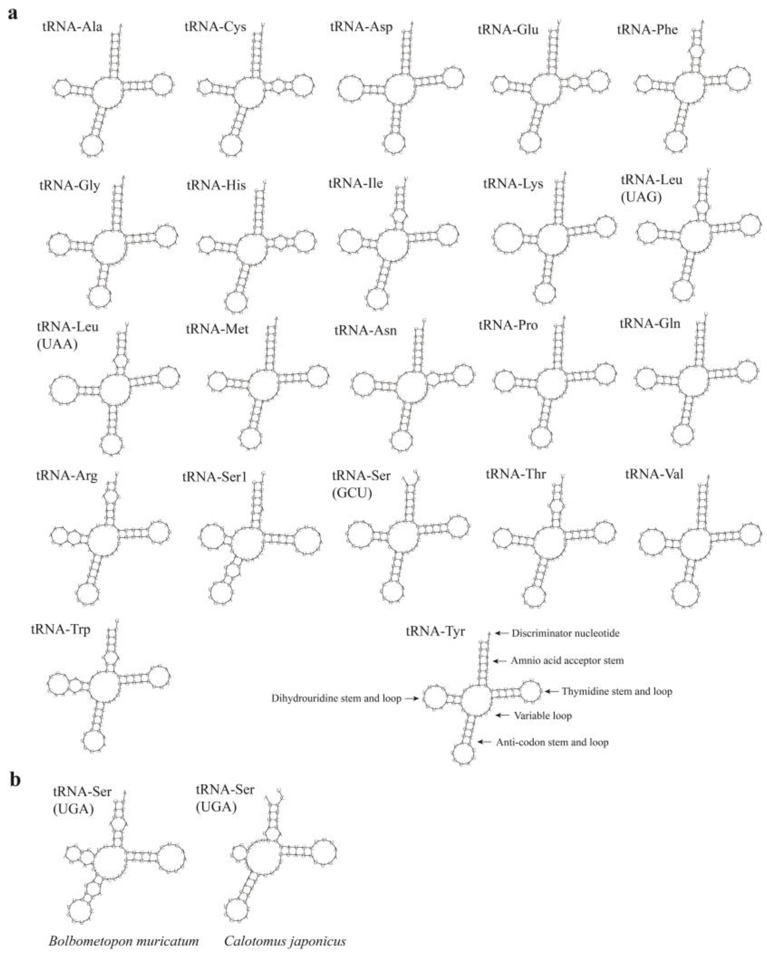 Biology 12 00410 g004 Biology 12 00410 g004