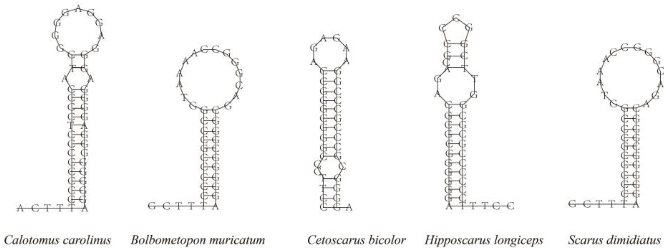 Biology 12 00410 g005 Biology 12 00410 g005