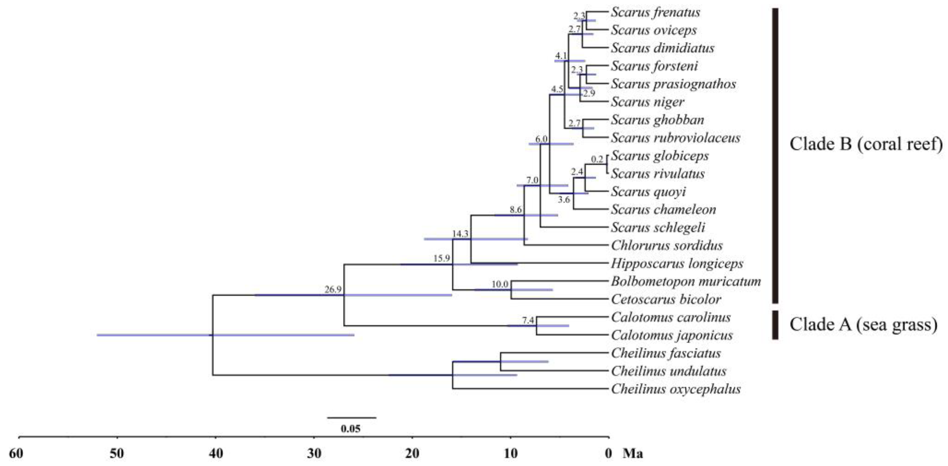Biology 12 00410 g009 Biology 12 00410 g009