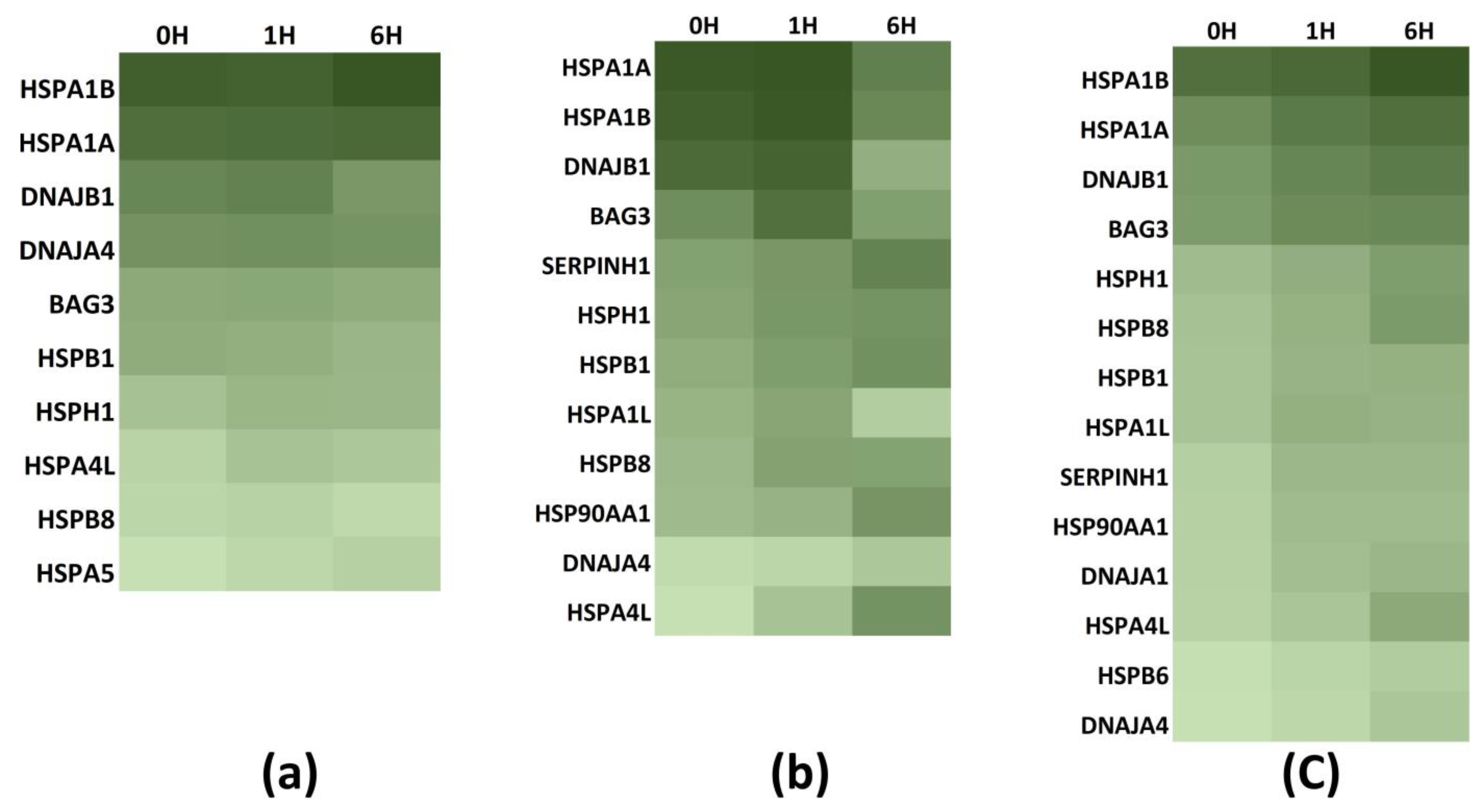Biology 12 00416 g004 Biology 12 00416 g004