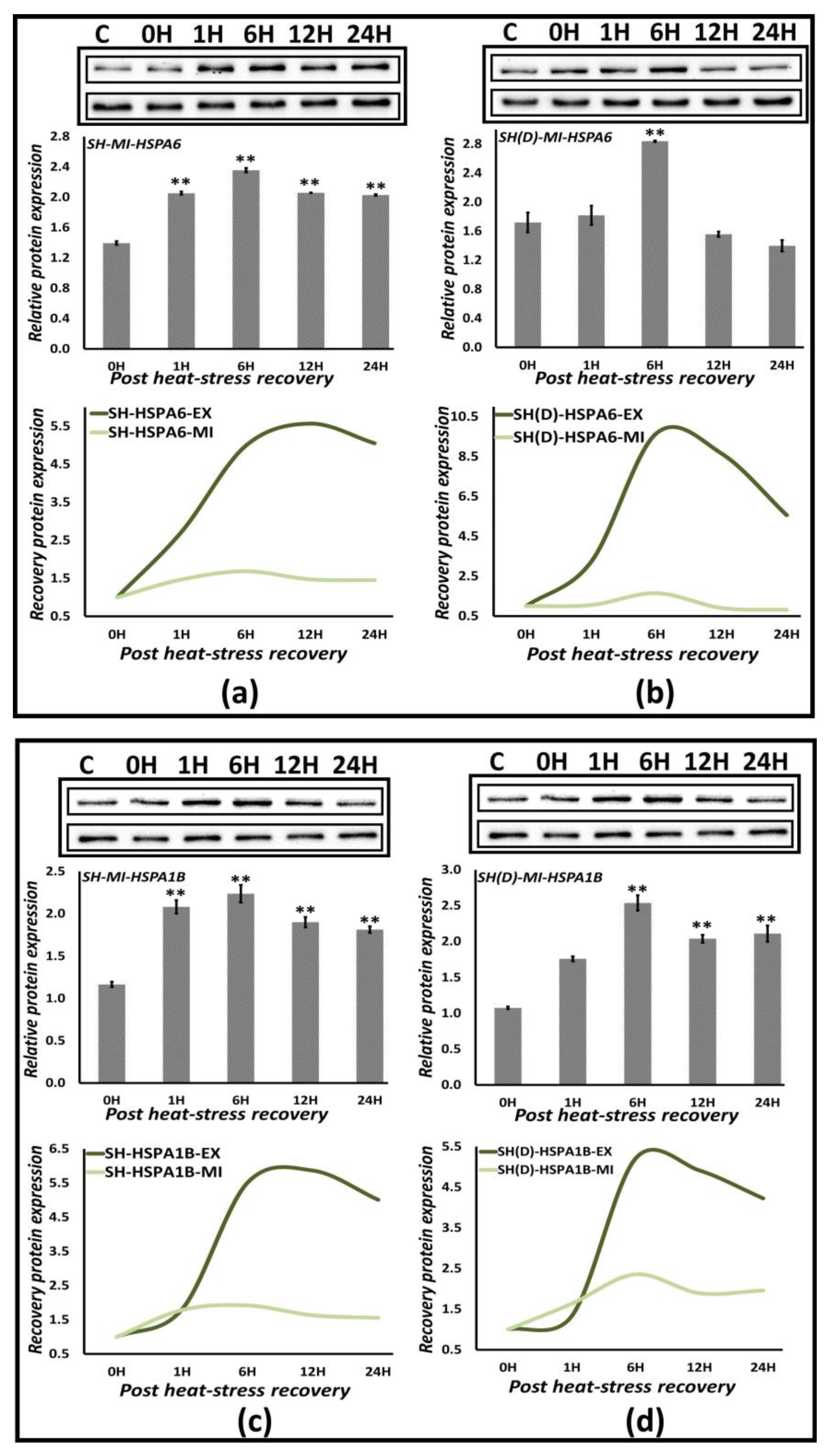 Biology 12 00416 g007 Biology 12 00416 g007