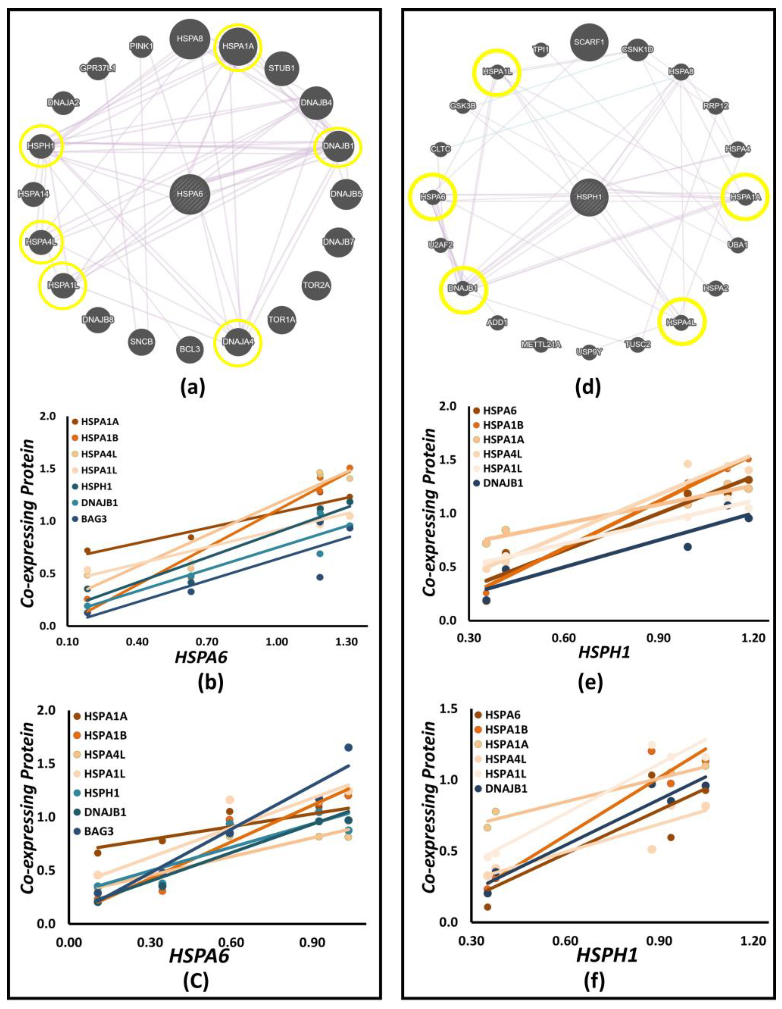 Biology 12 00416 g009 Biology 12 00416 g009