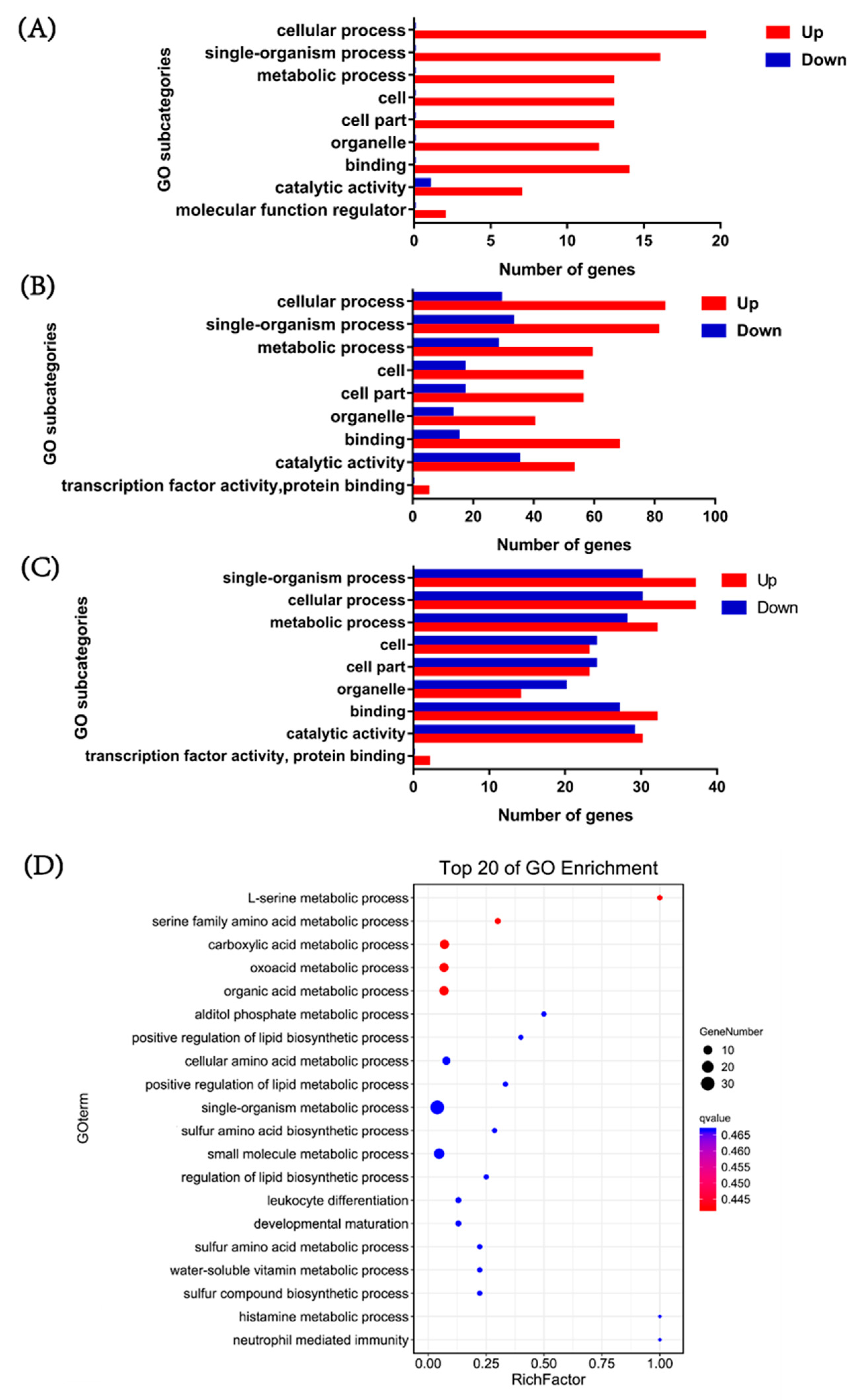 Biology 12 00417 g002