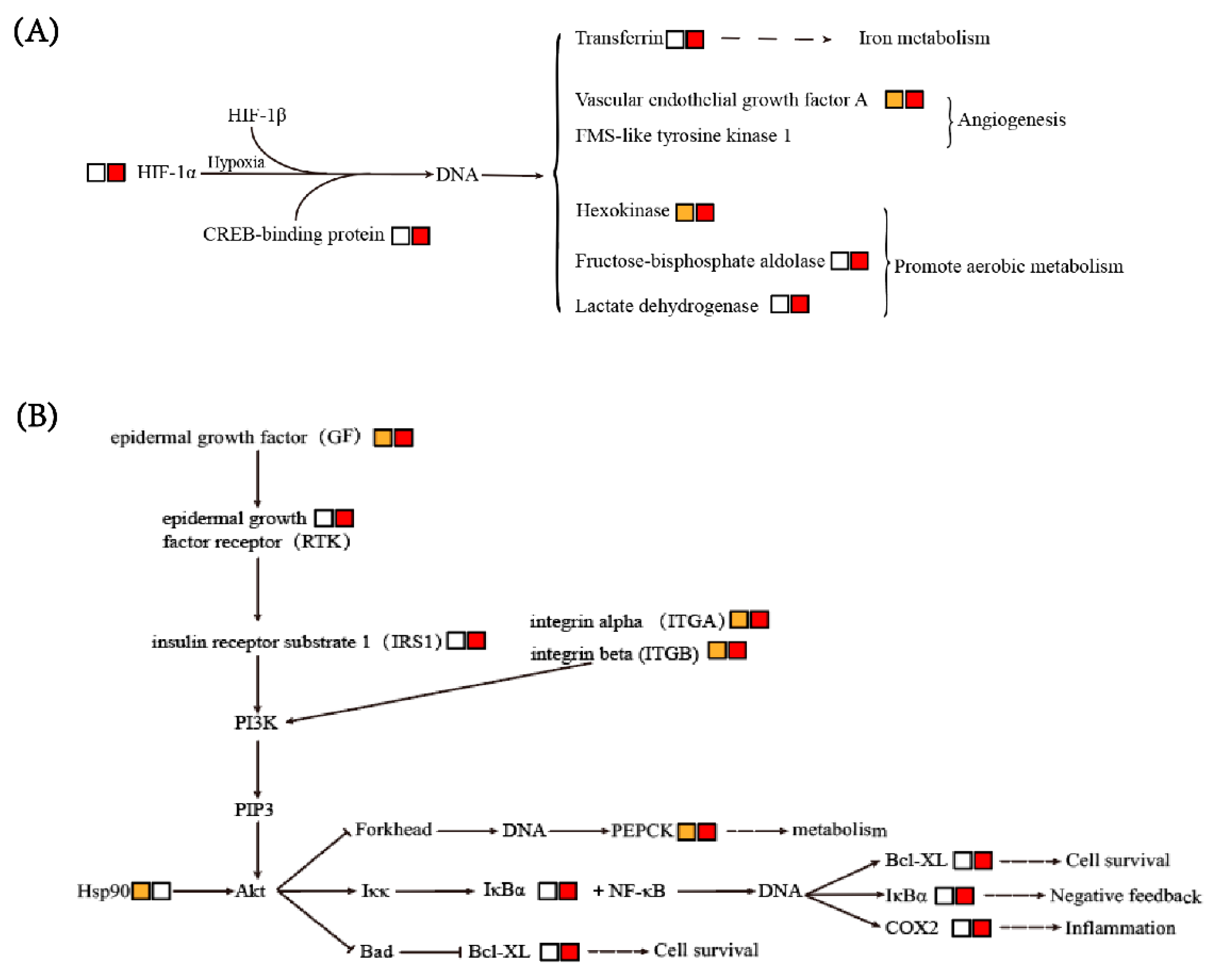 Biology 12 00417 g005