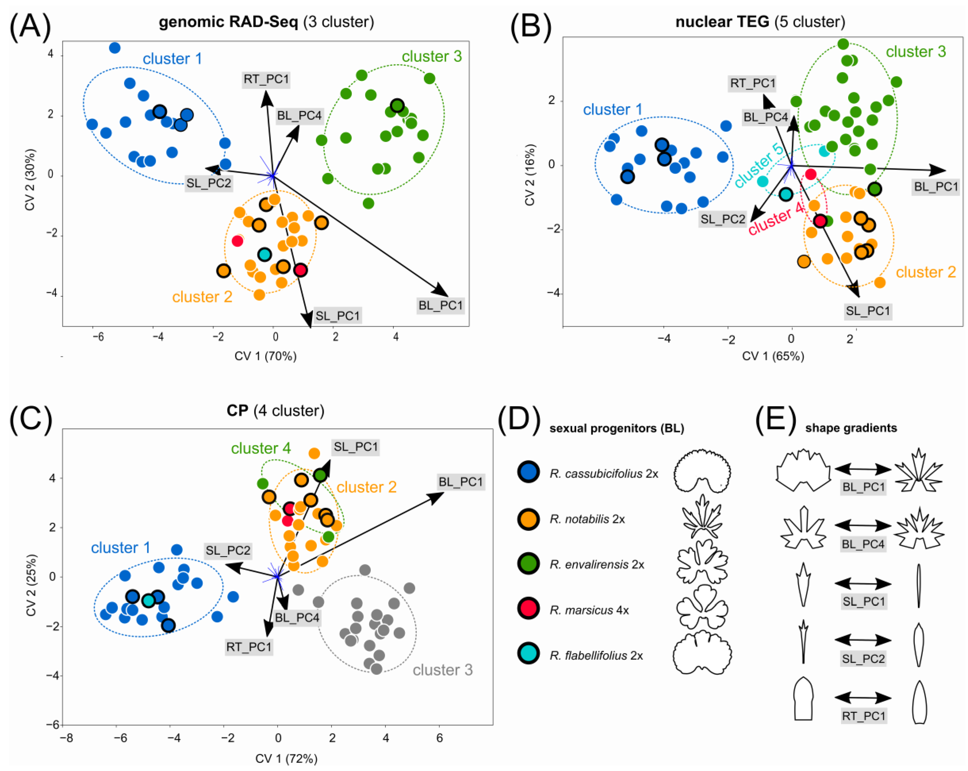 Biology 12 00418 g004 Biology 12 00418 g004