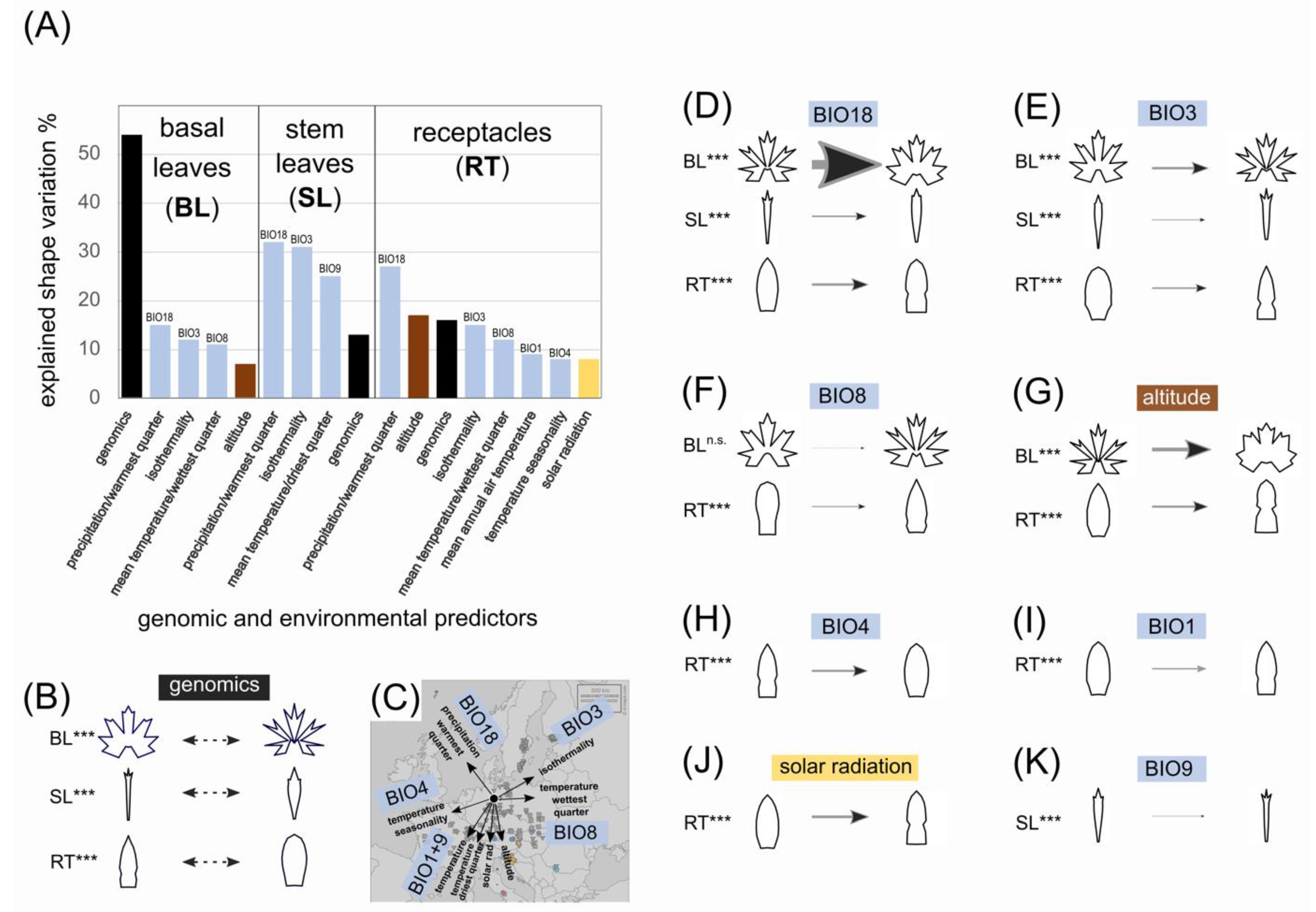 Biology 12 00418 g008 Biology 12 00418 g008