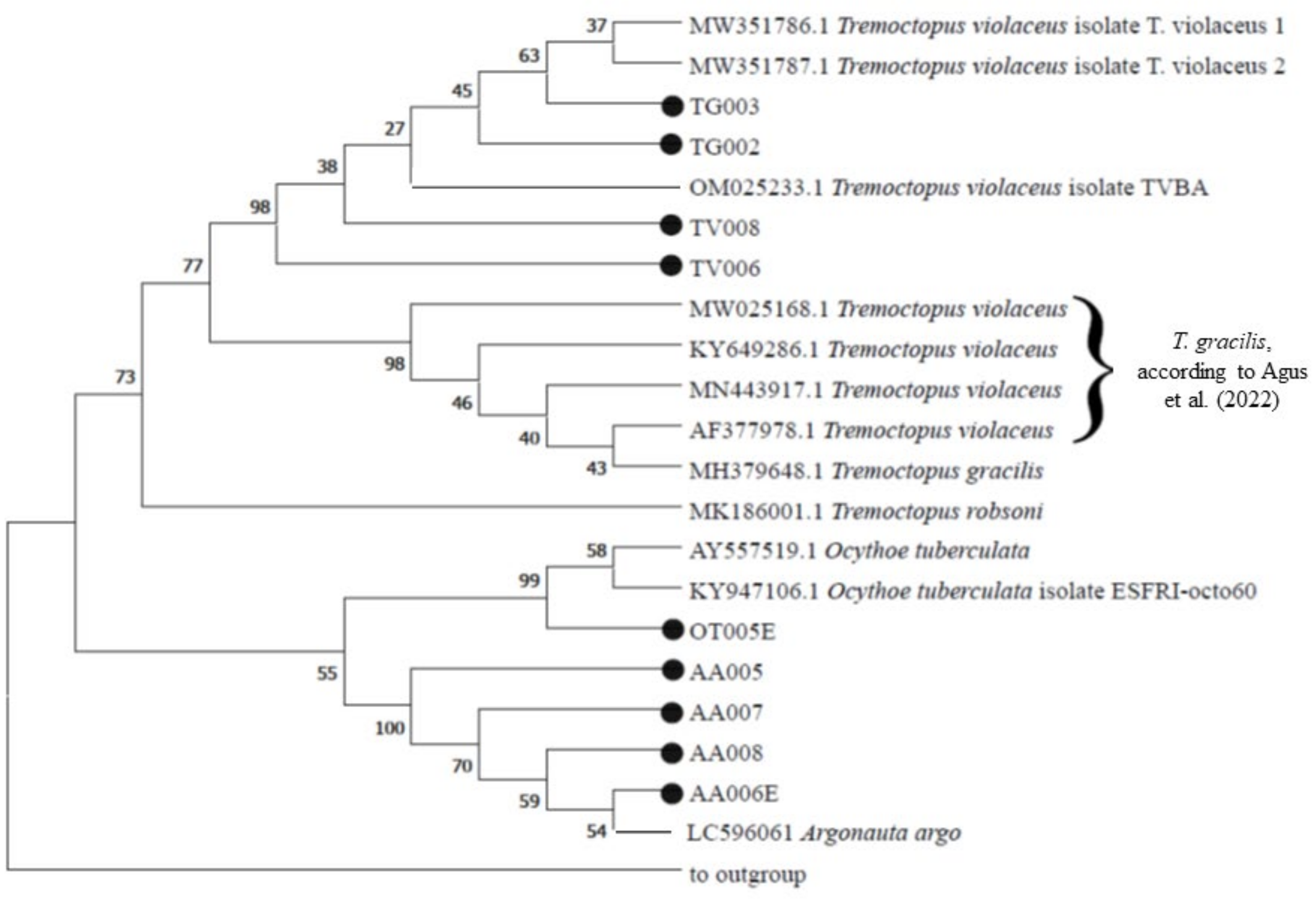 Biology 12 00420 g006 Biology 12 00420 g006