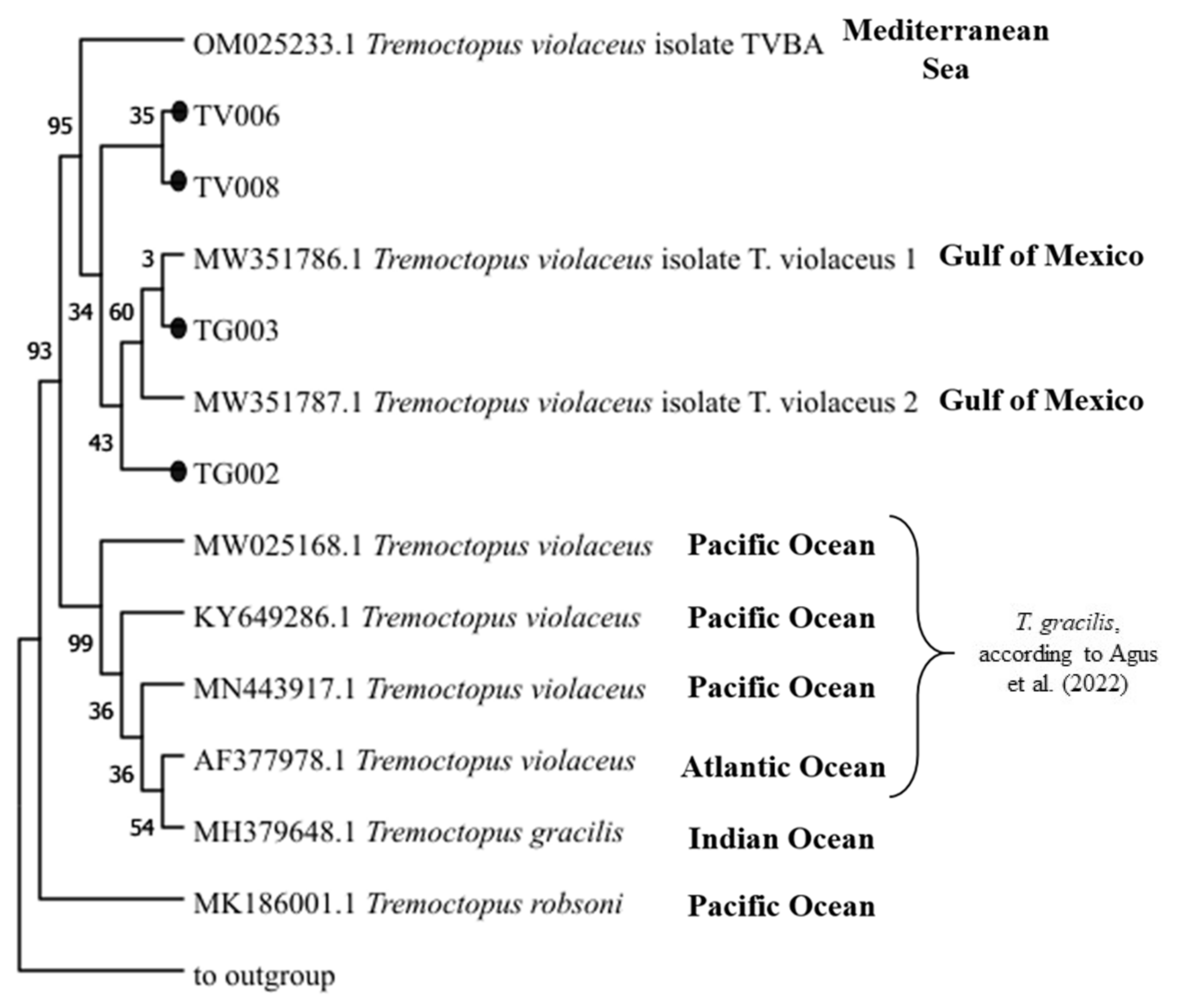 Biology 12 00420 g007 Biology 12 00420 g007