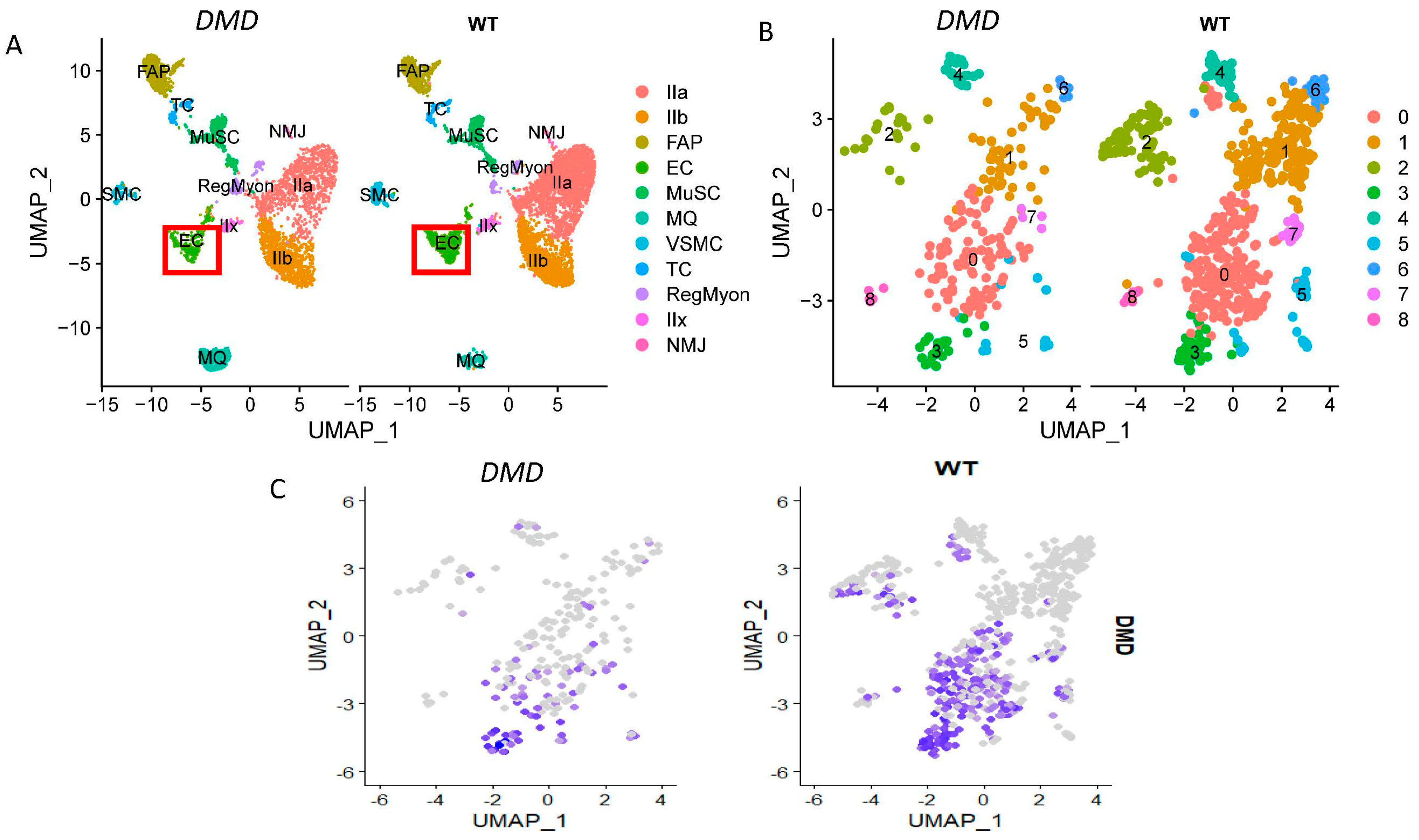 Biology 12 00422 g001 Biology 12 00422 g001