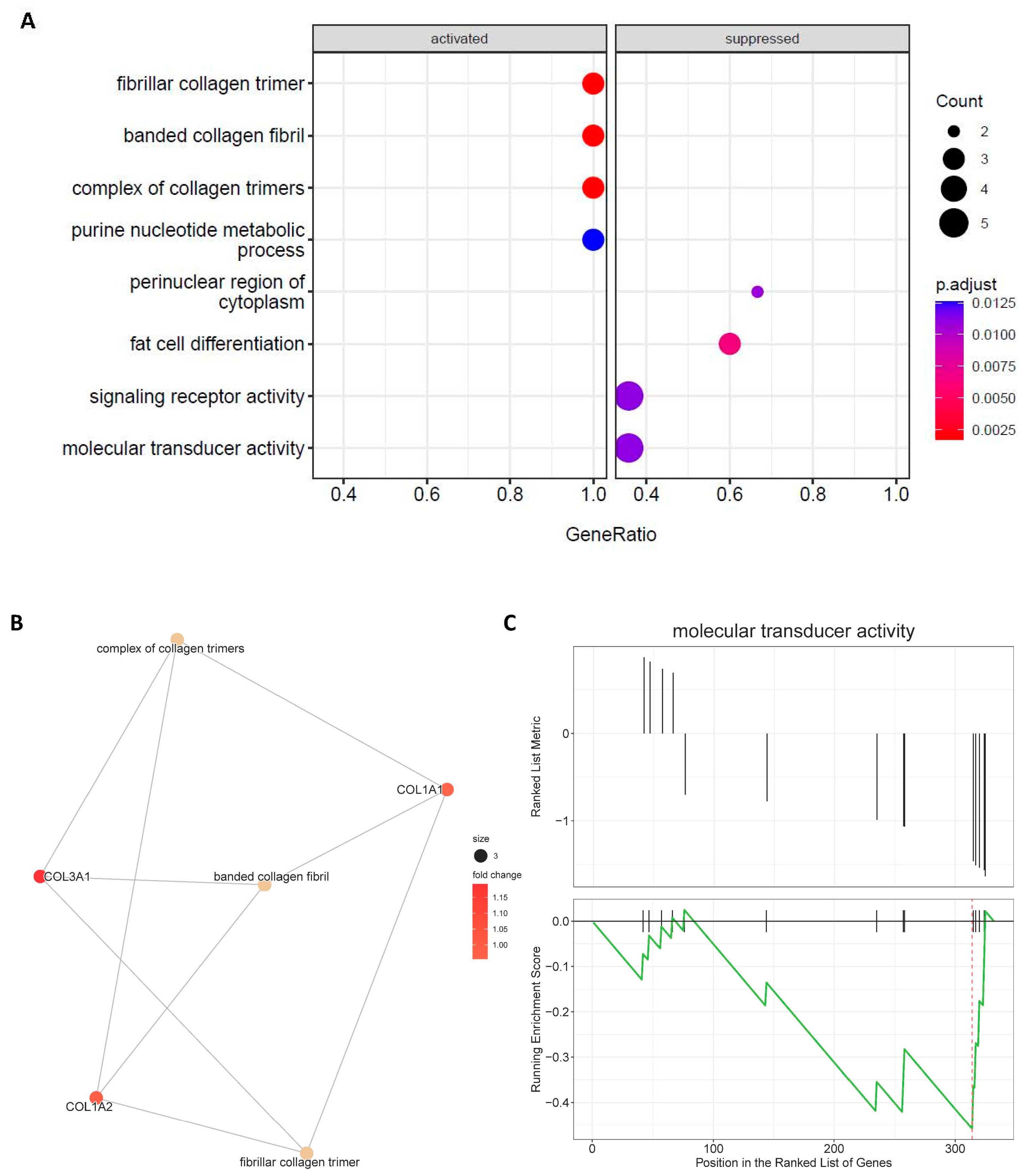 Biology 12 00422 g003 Biology 12 00422 g003