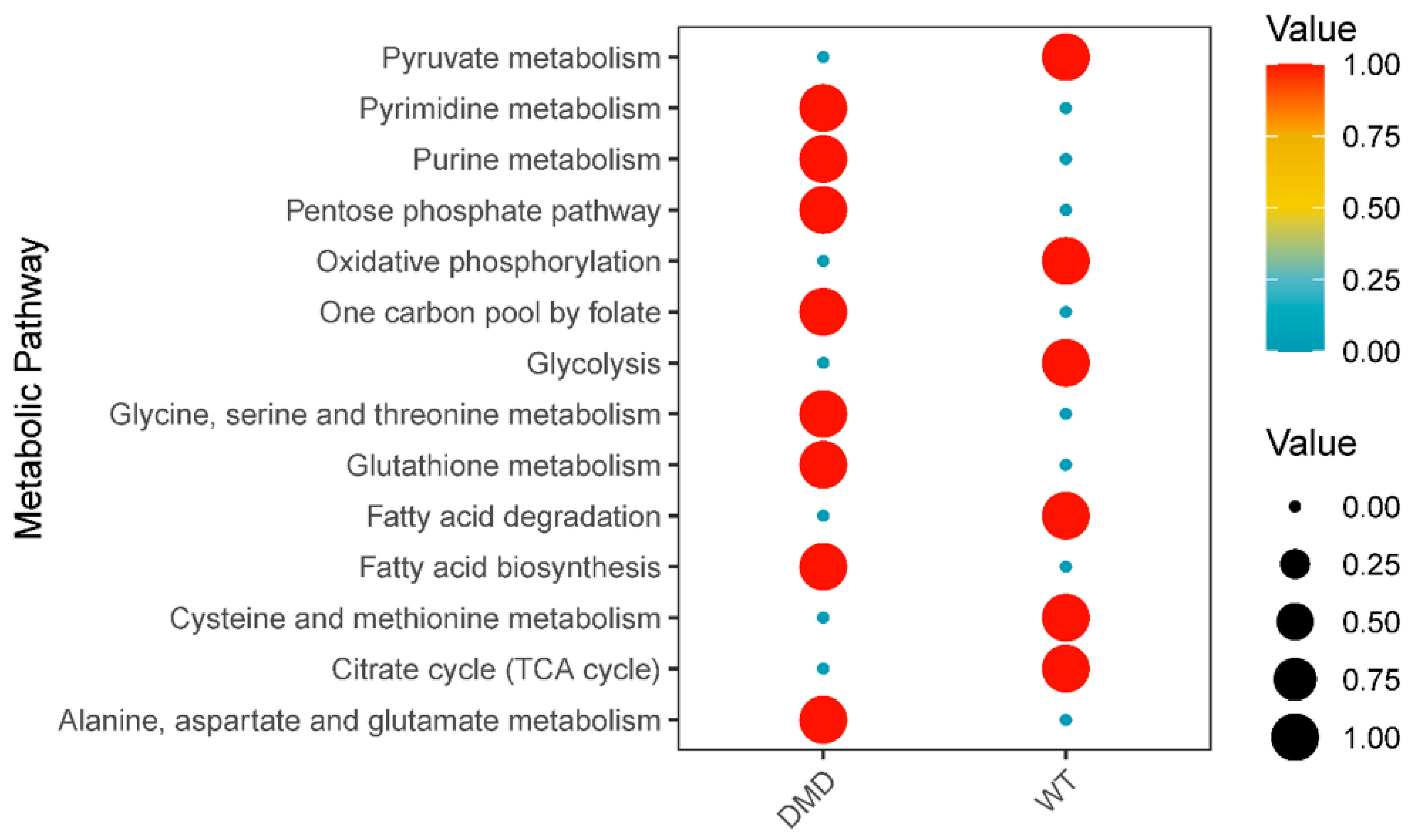Biology 12 00422 g004 Biology 12 00422 g004