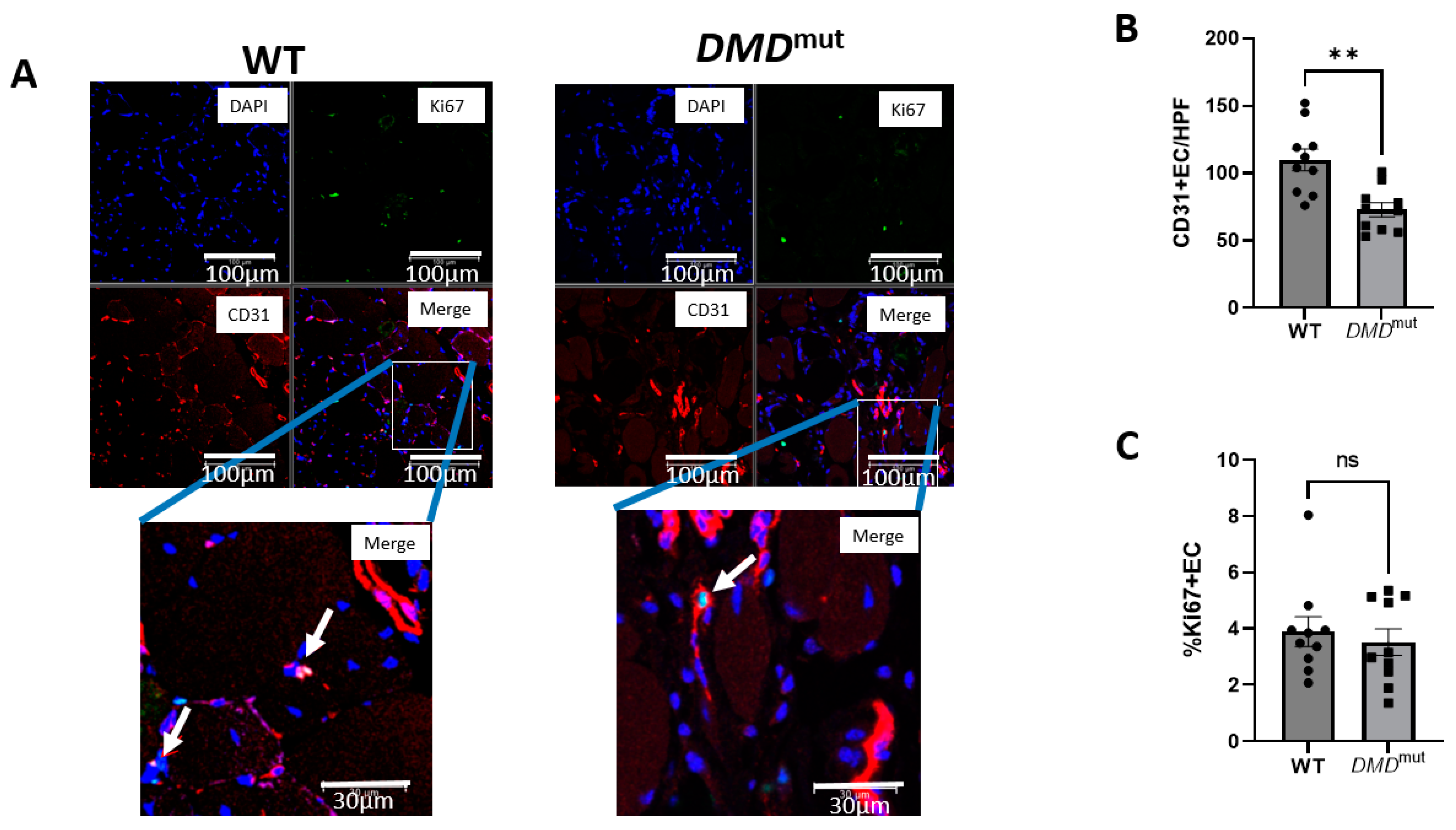 Biology 12 00422 g005 Biology 12 00422 g005