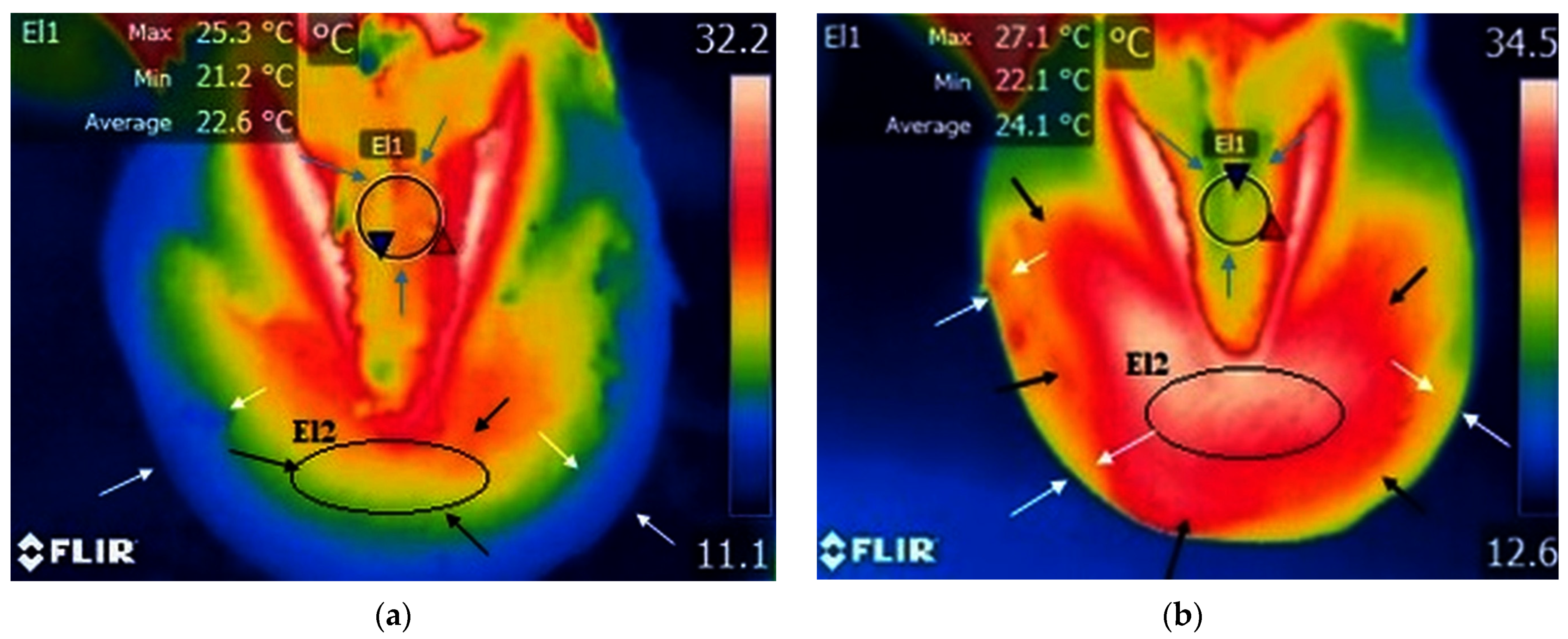 Biology 12 00423 g003