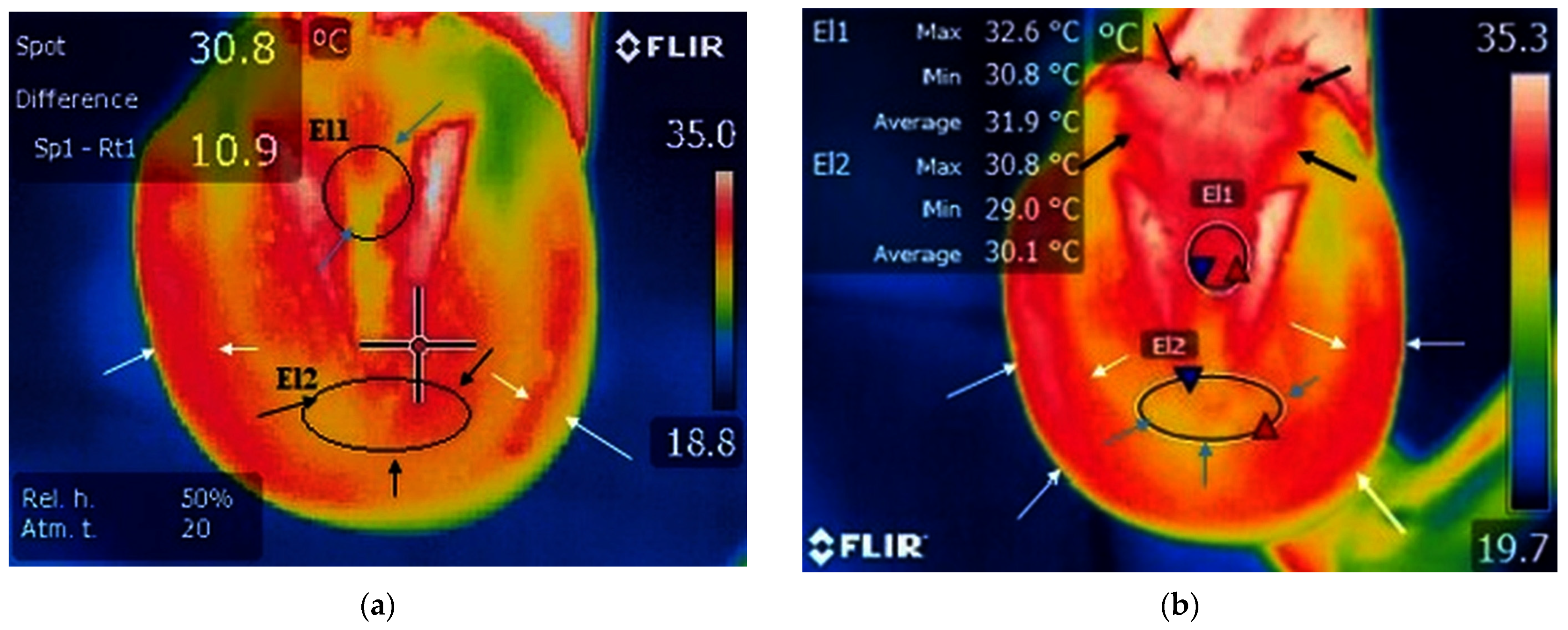 Biology 12 00423 g004