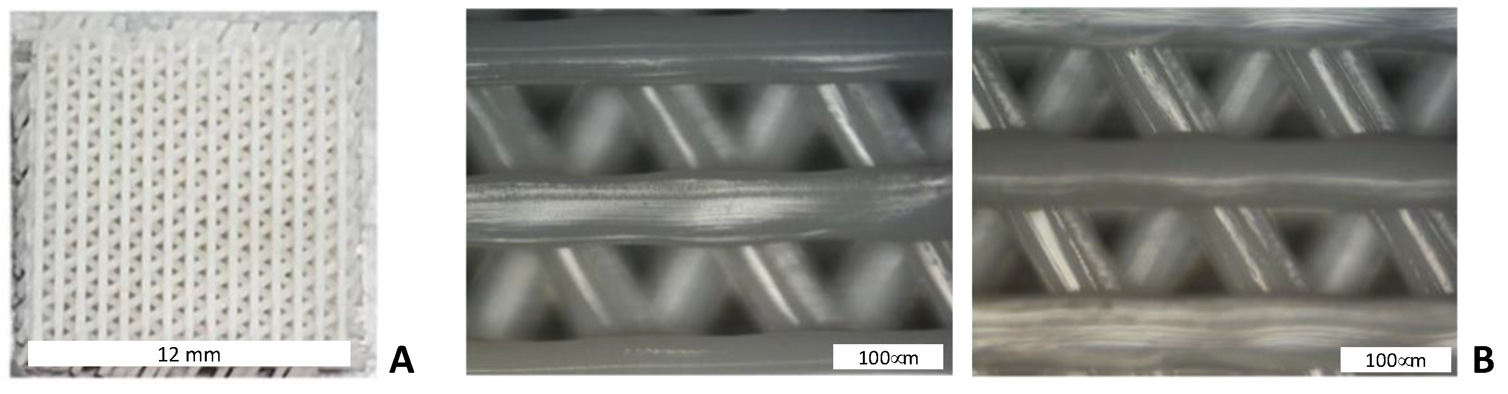 Biology 12 00424 g003 Biology 12 00424 g003