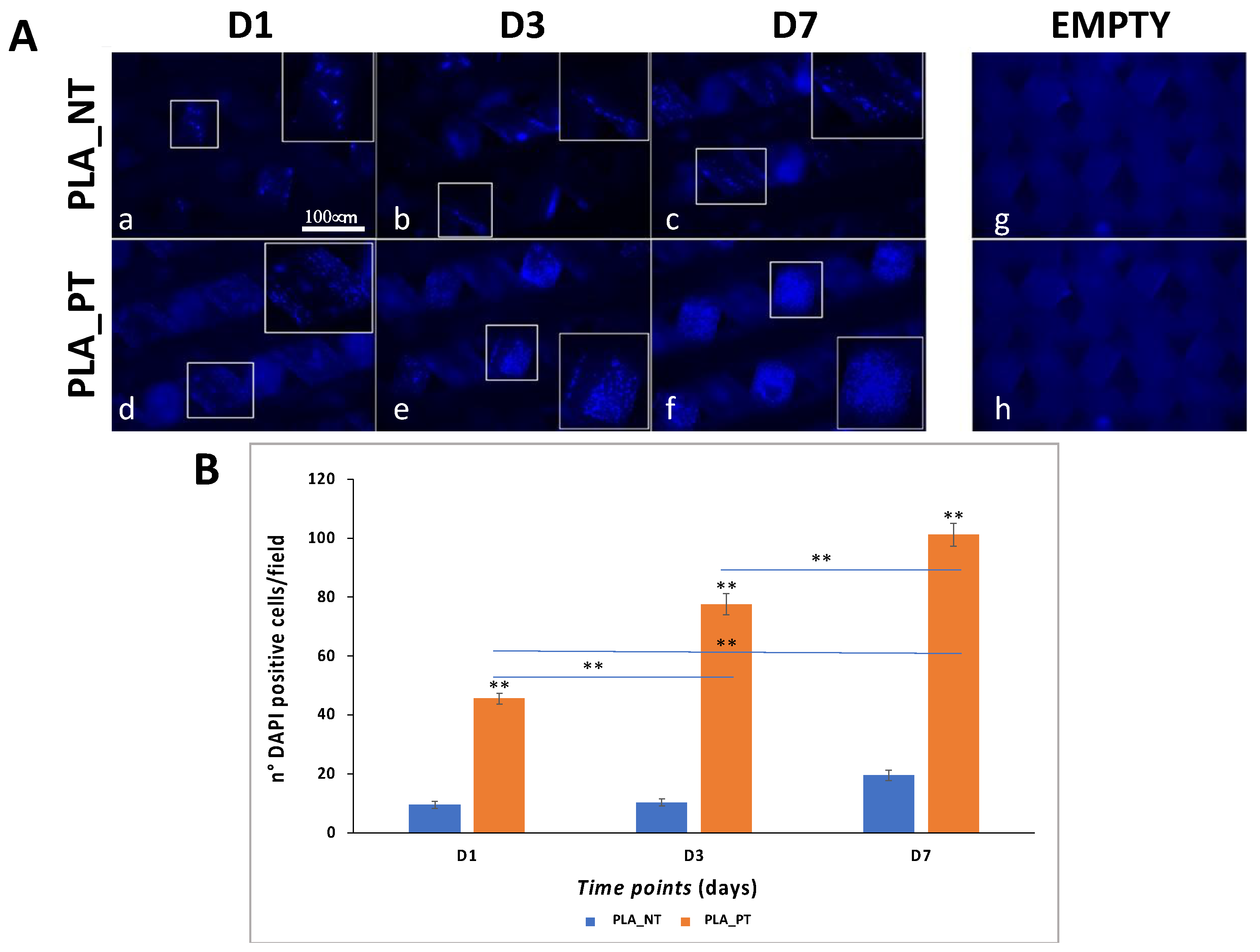 Biology 12 00424 g006 Biology 12 00424 g006