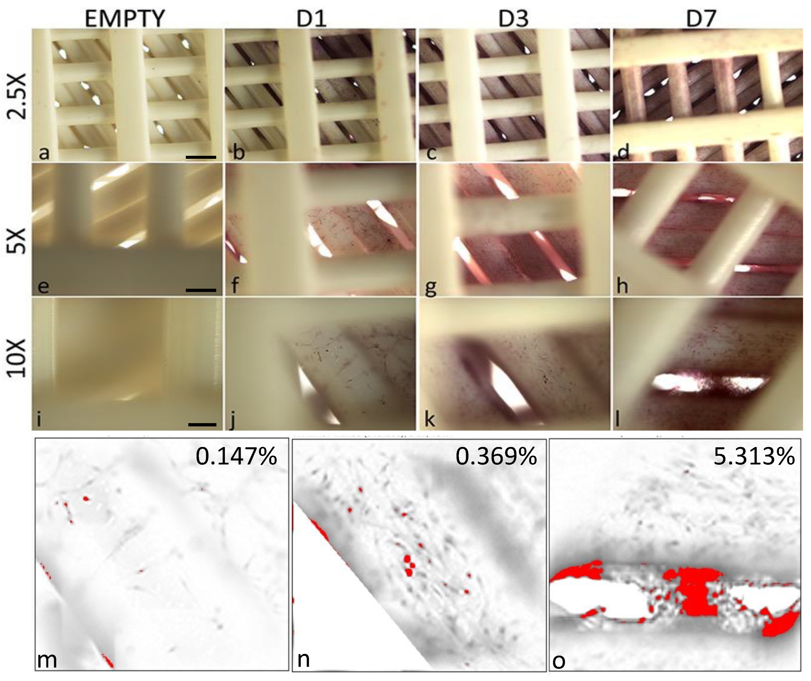 Biology 12 00424 g007 Biology 12 00424 g007