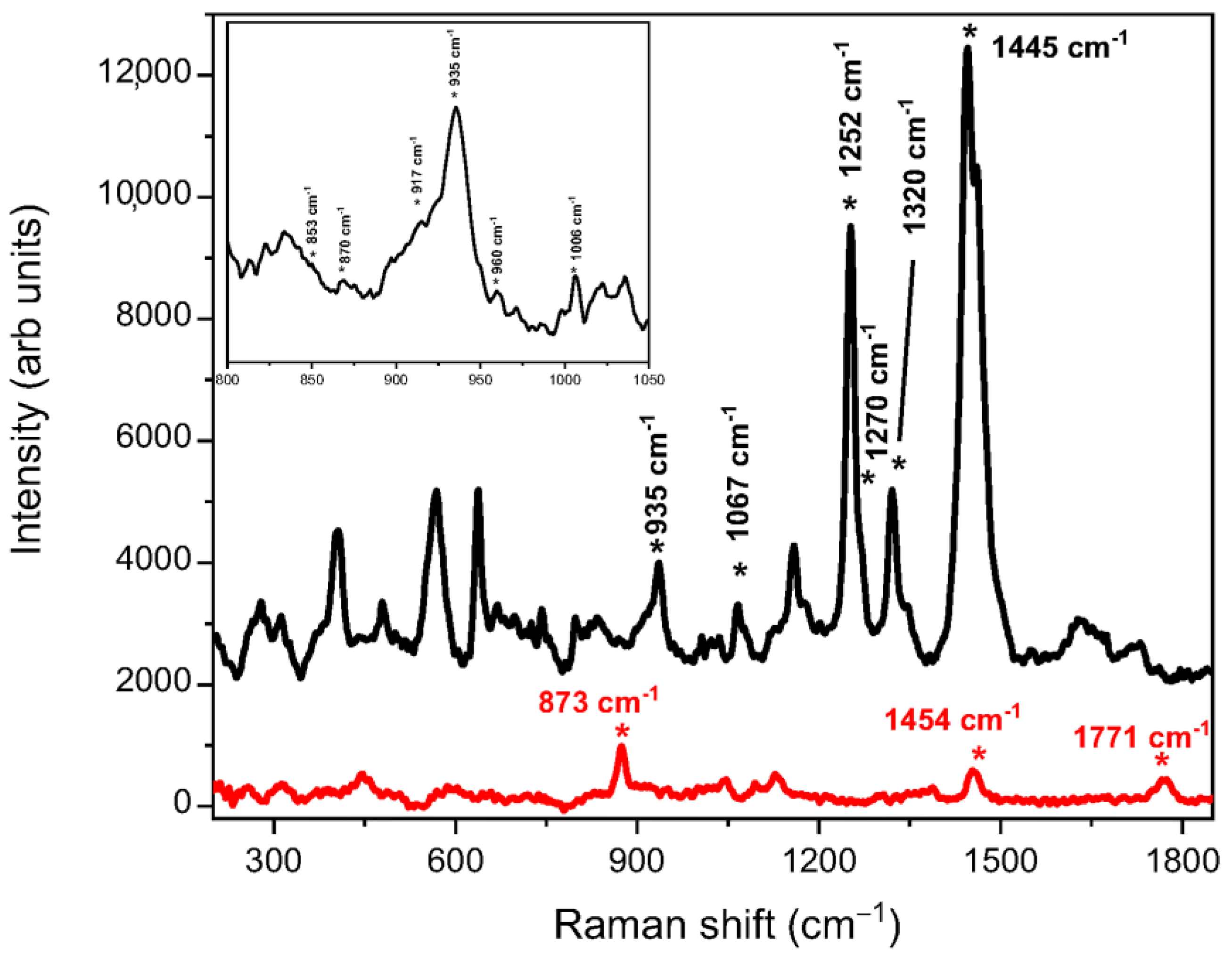 Biology 12 00424 g009 Biology 12 00424 g009