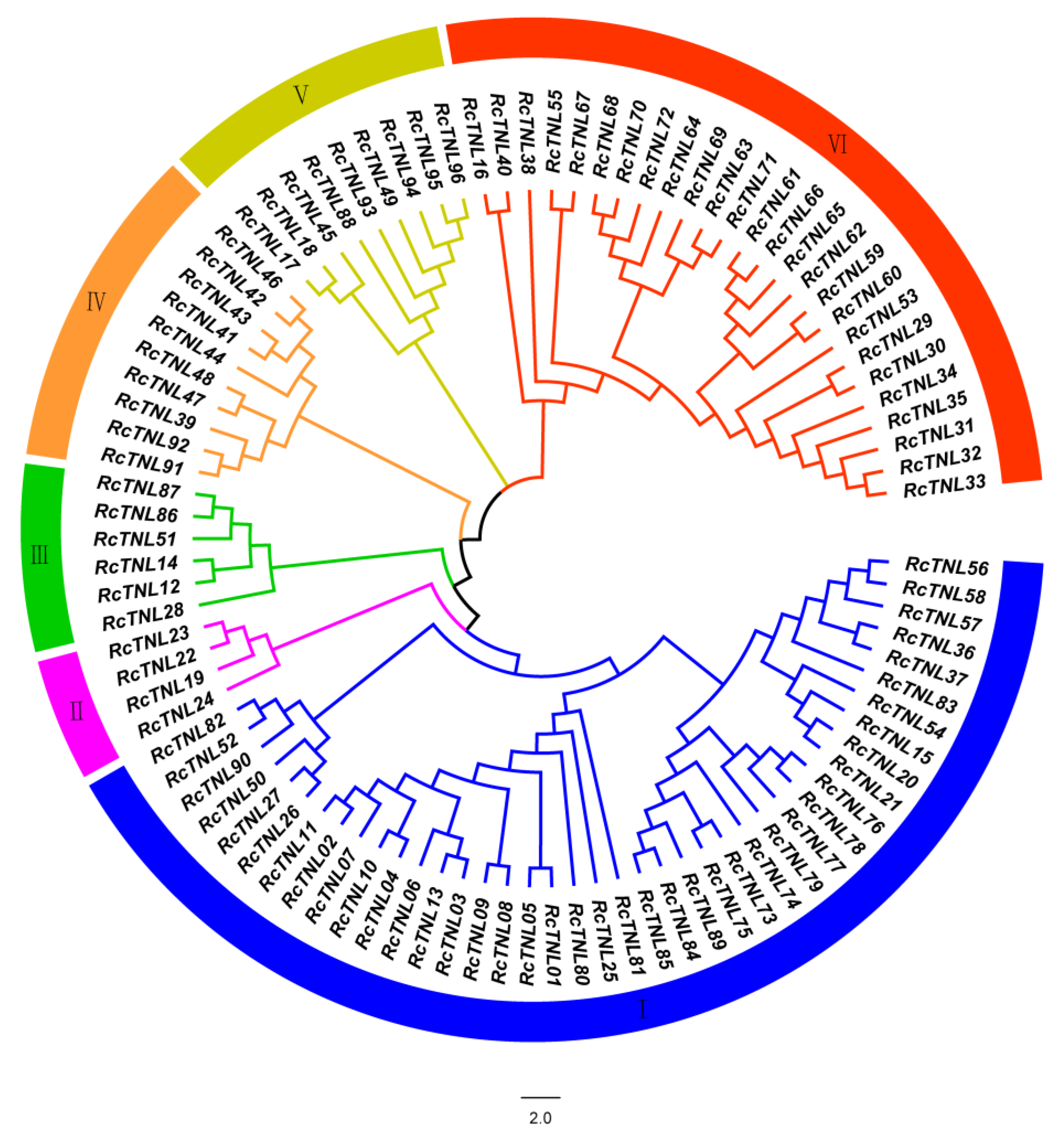 Biology 12 00426 g002 Biology 12 00426 g002
