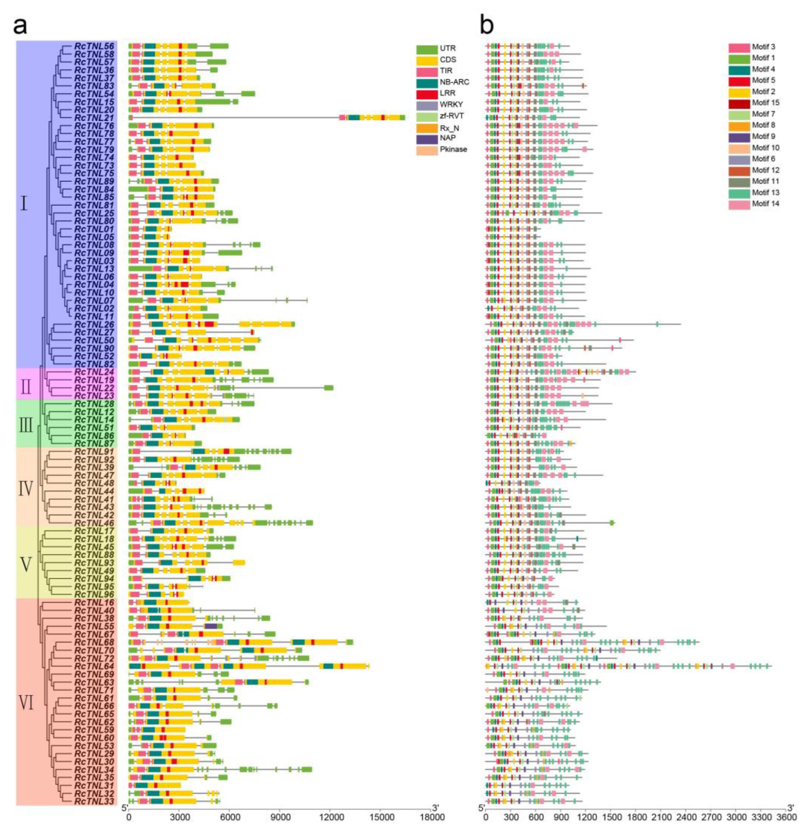 Biology 12 00426 g003 Biology 12 00426 g003