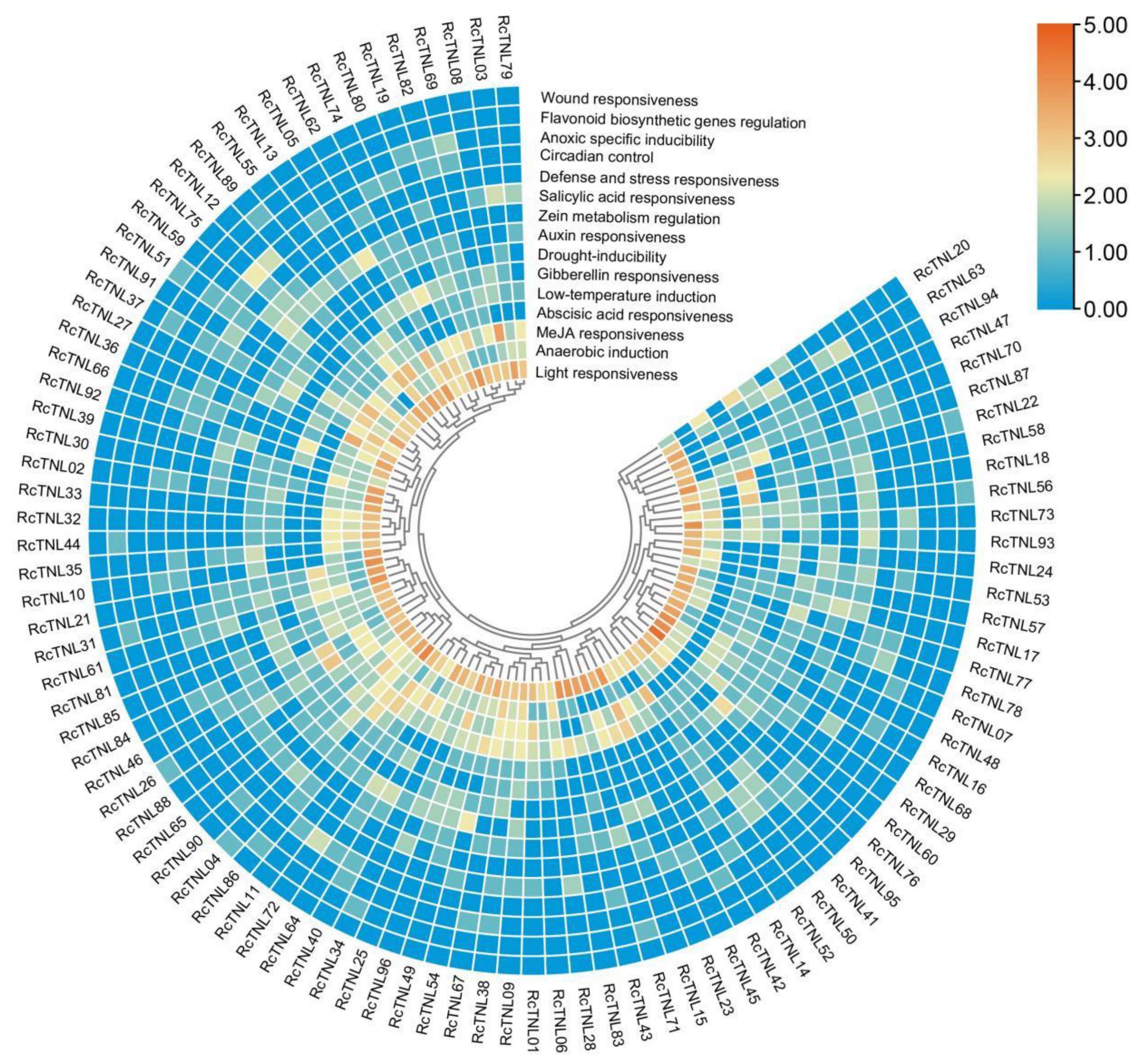 Biology 12 00426 g004 Biology 12 00426 g004