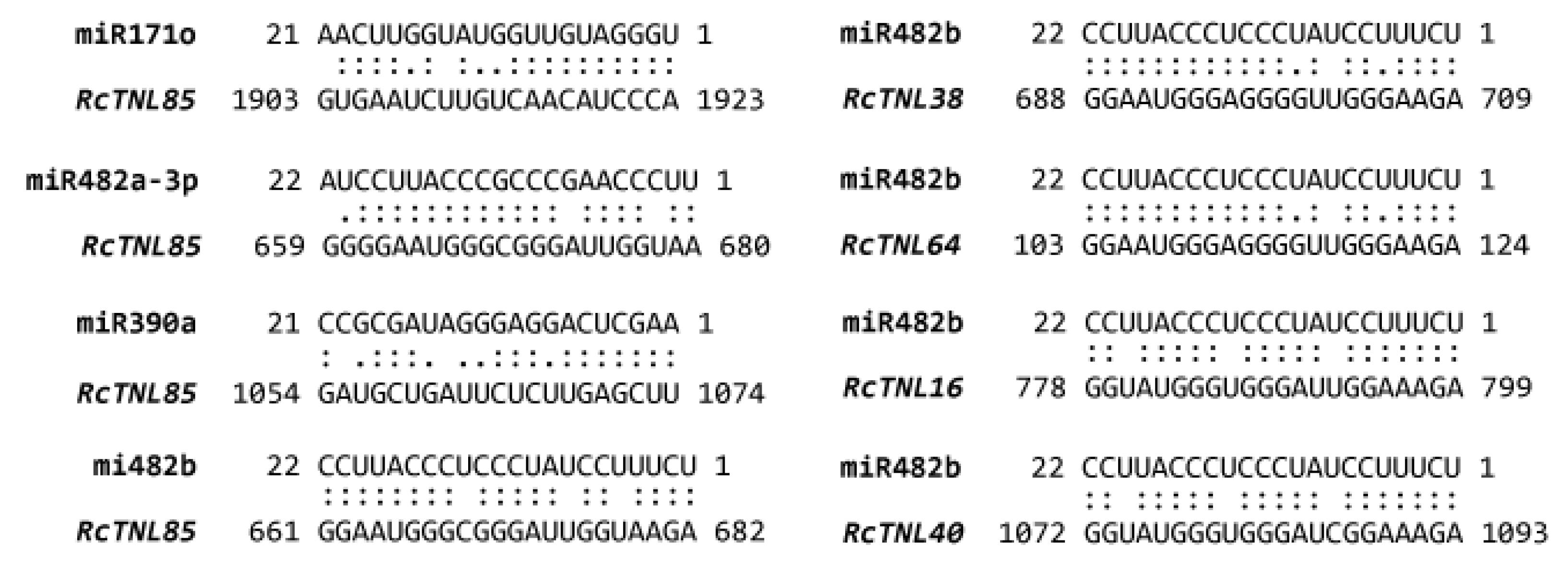 Biology 12 00426 g005 Biology 12 00426 g005