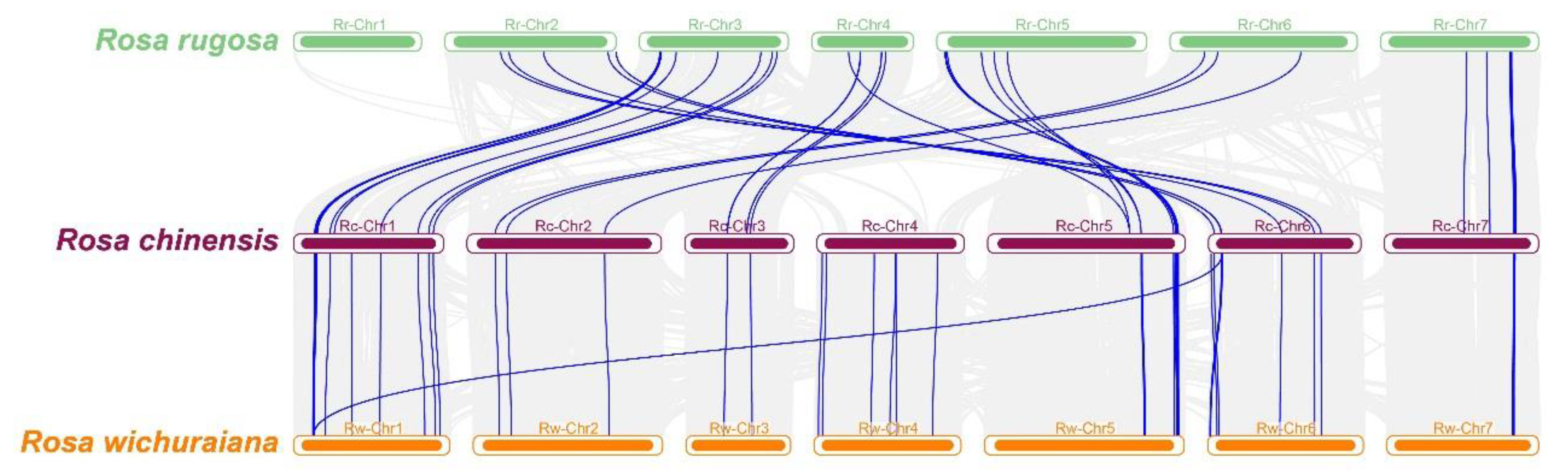 Biology 12 00426 g006 Biology 12 00426 g006