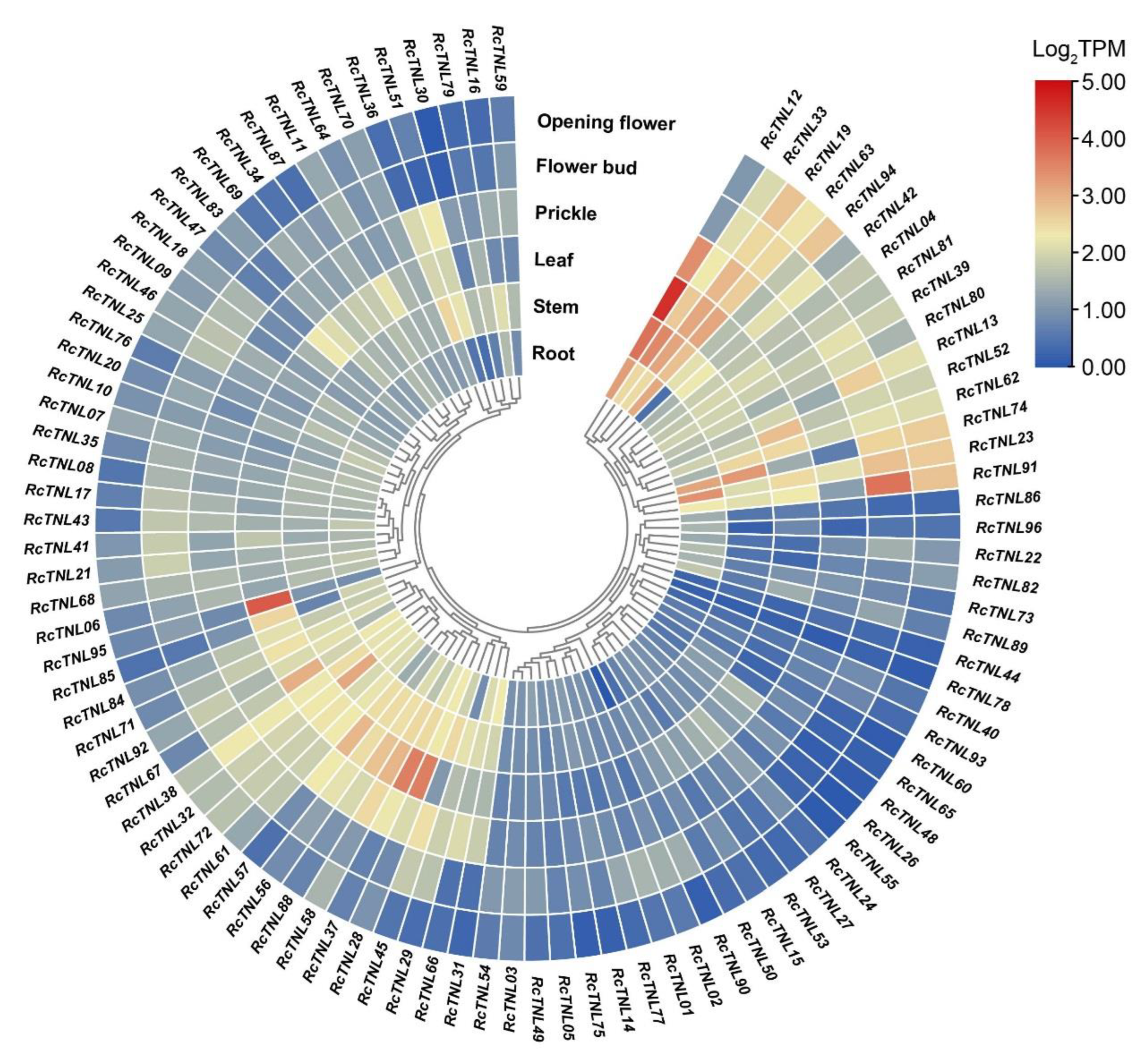 Biology 12 00426 g007 Biology 12 00426 g007