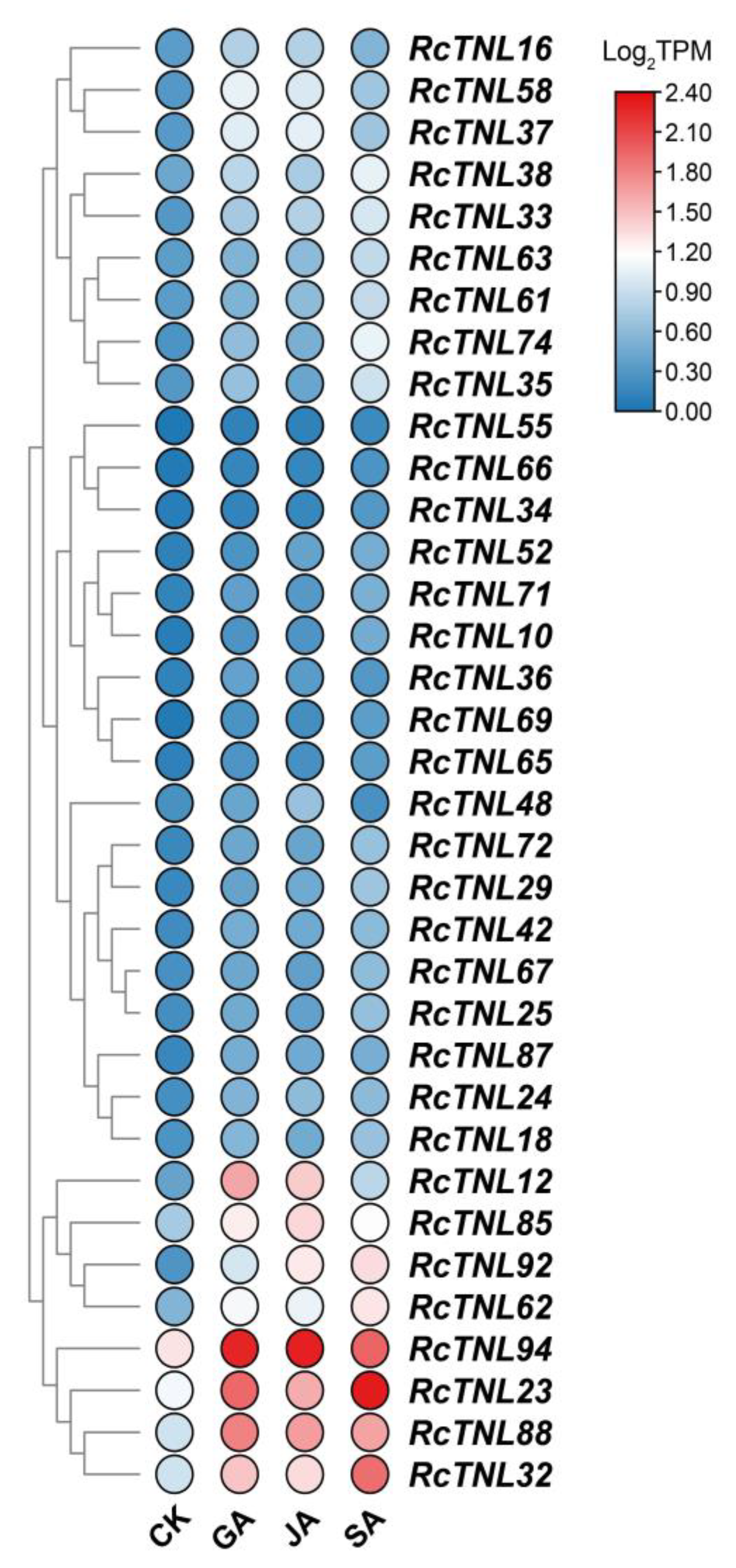 Biology 12 00426 g008 Biology 12 00426 g008