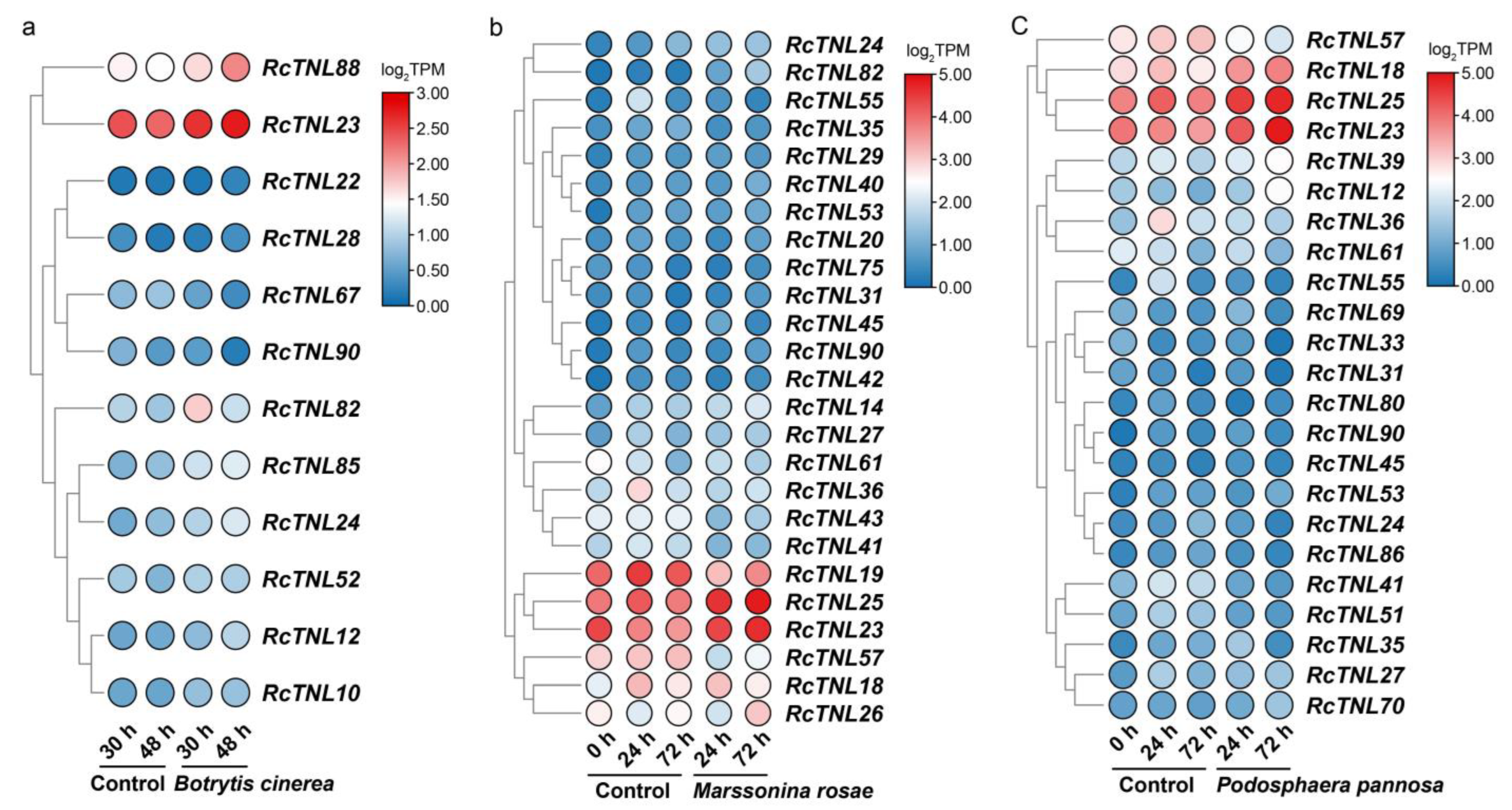 Biology 12 00426 g009 Biology 12 00426 g009