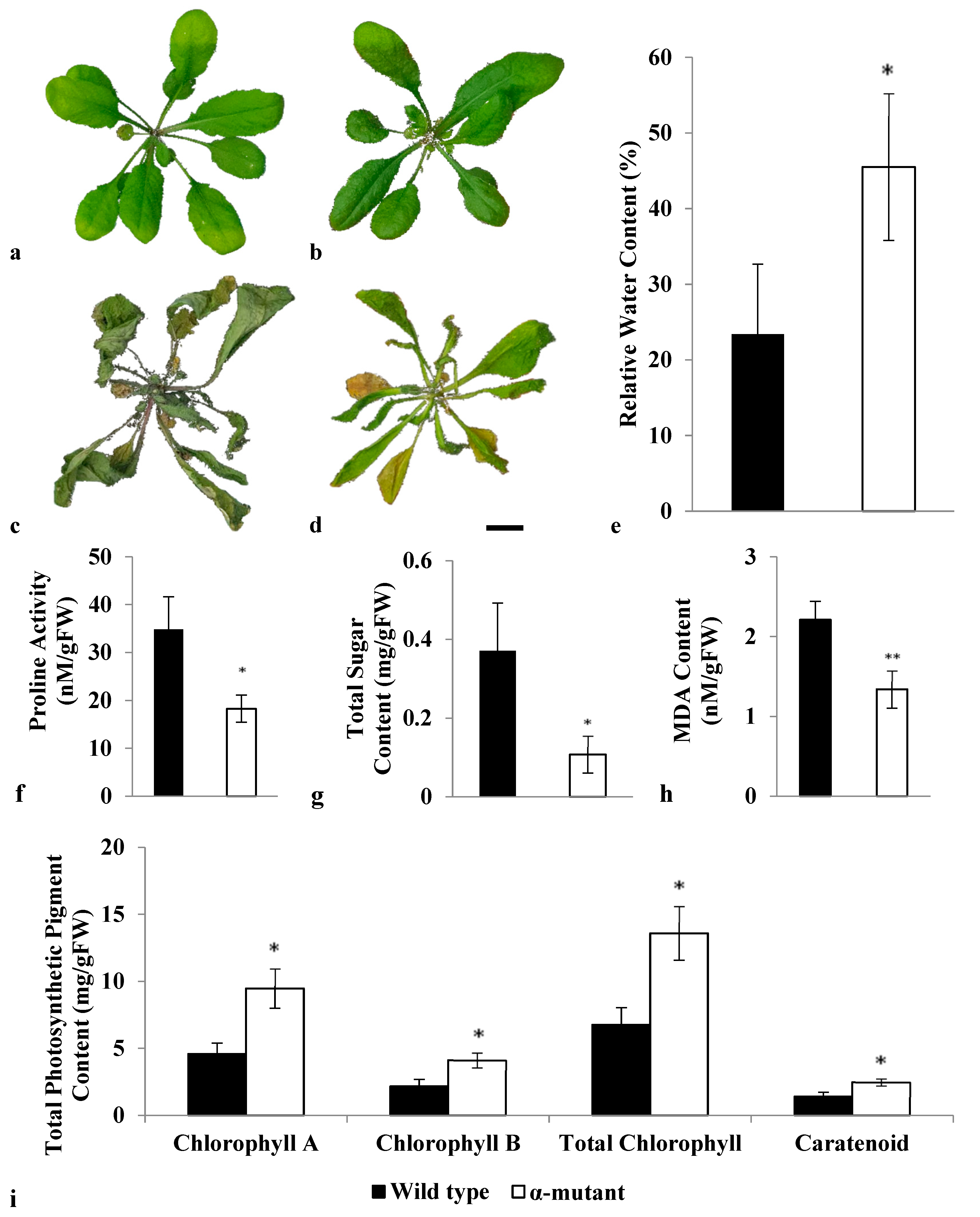 Biology 12 00430 g003 Biology 12 00430 g003
