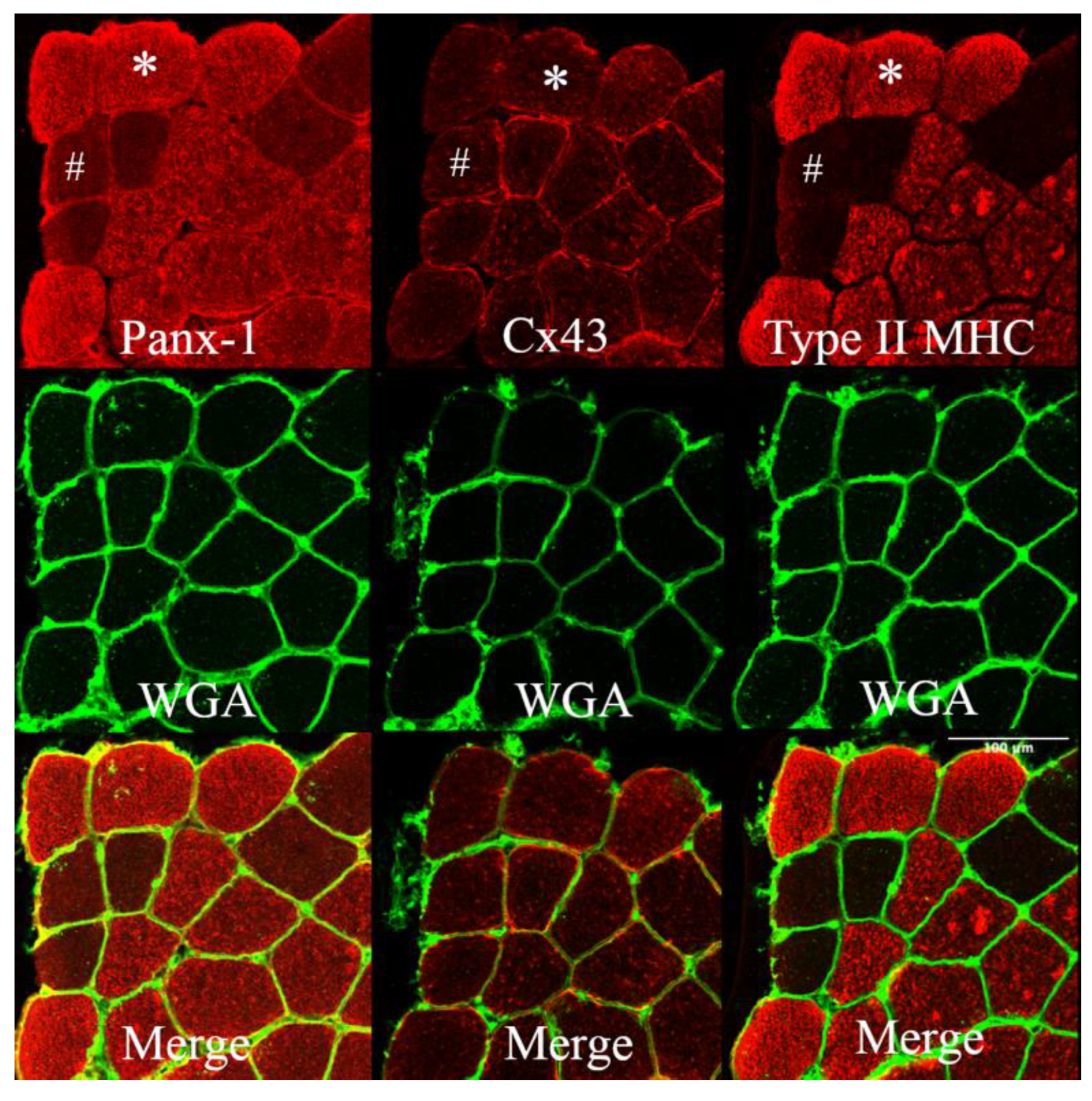 Biology 12 00431 g001 Biology 12 00431 g001