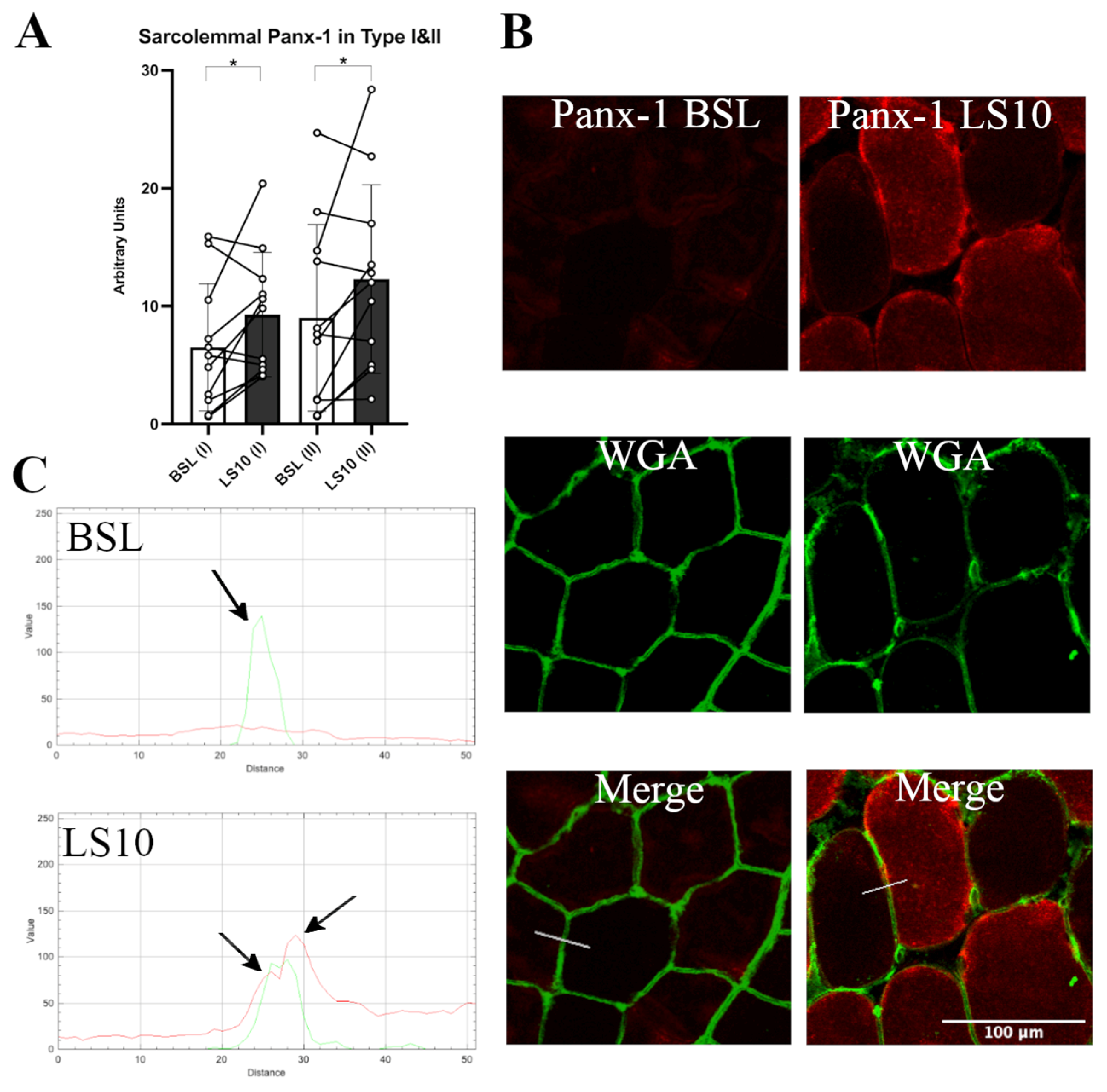 Biology 12 00431 g004 Biology 12 00431 g004