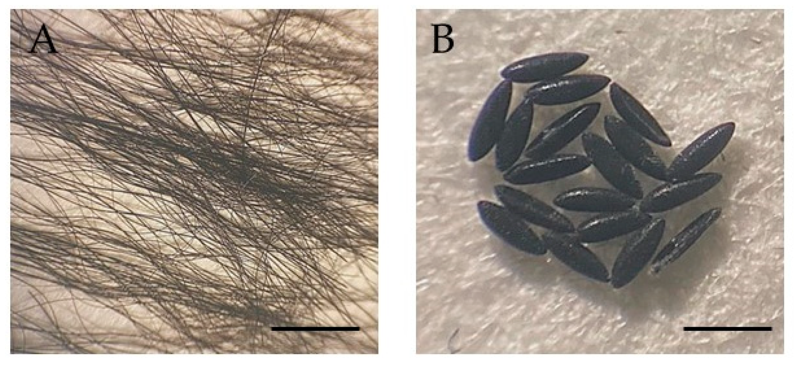 Biology 12 00433 g004 Biology 12 00433 g004