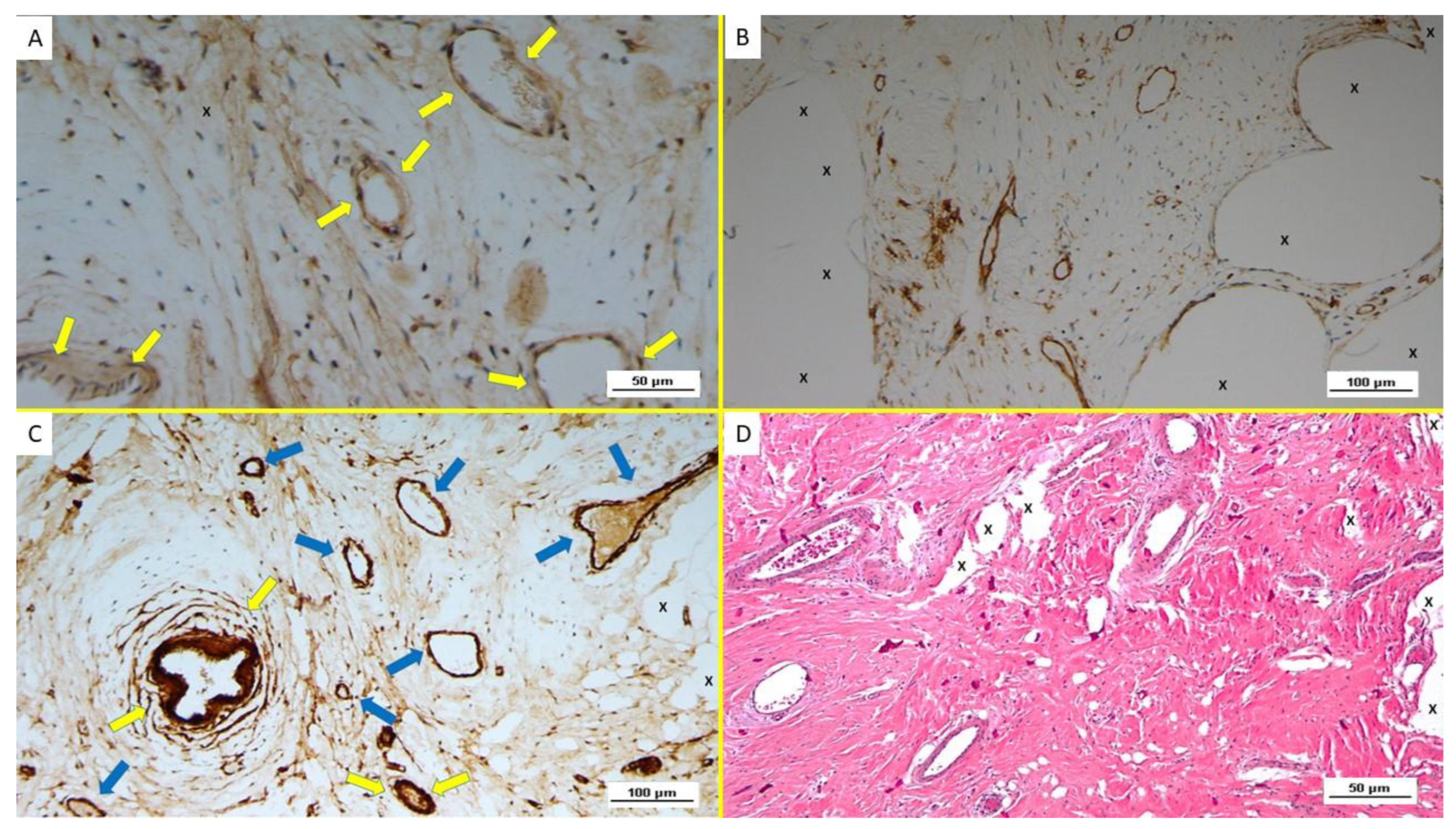Biology 12 00434 g005 Biology 12 00434 g005