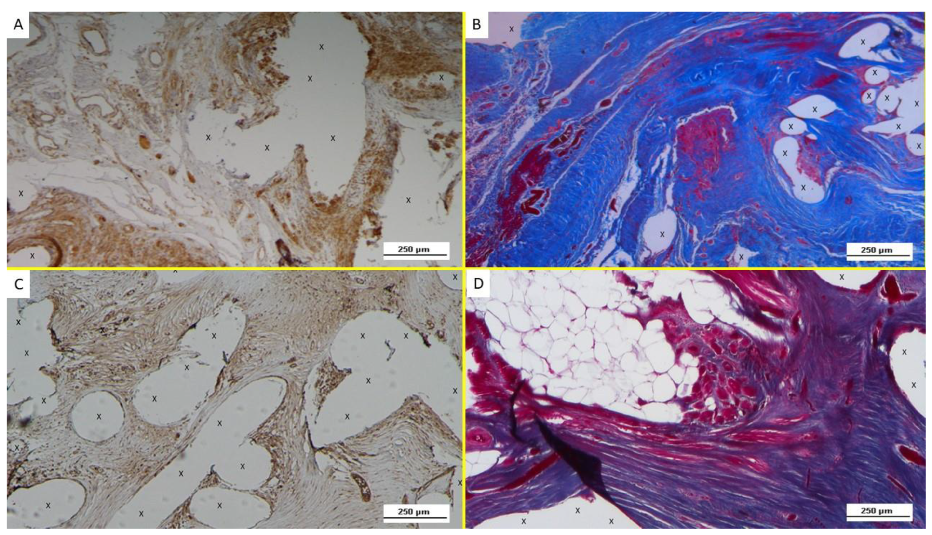 Biology 12 00434 g007 Biology 12 00434 g007