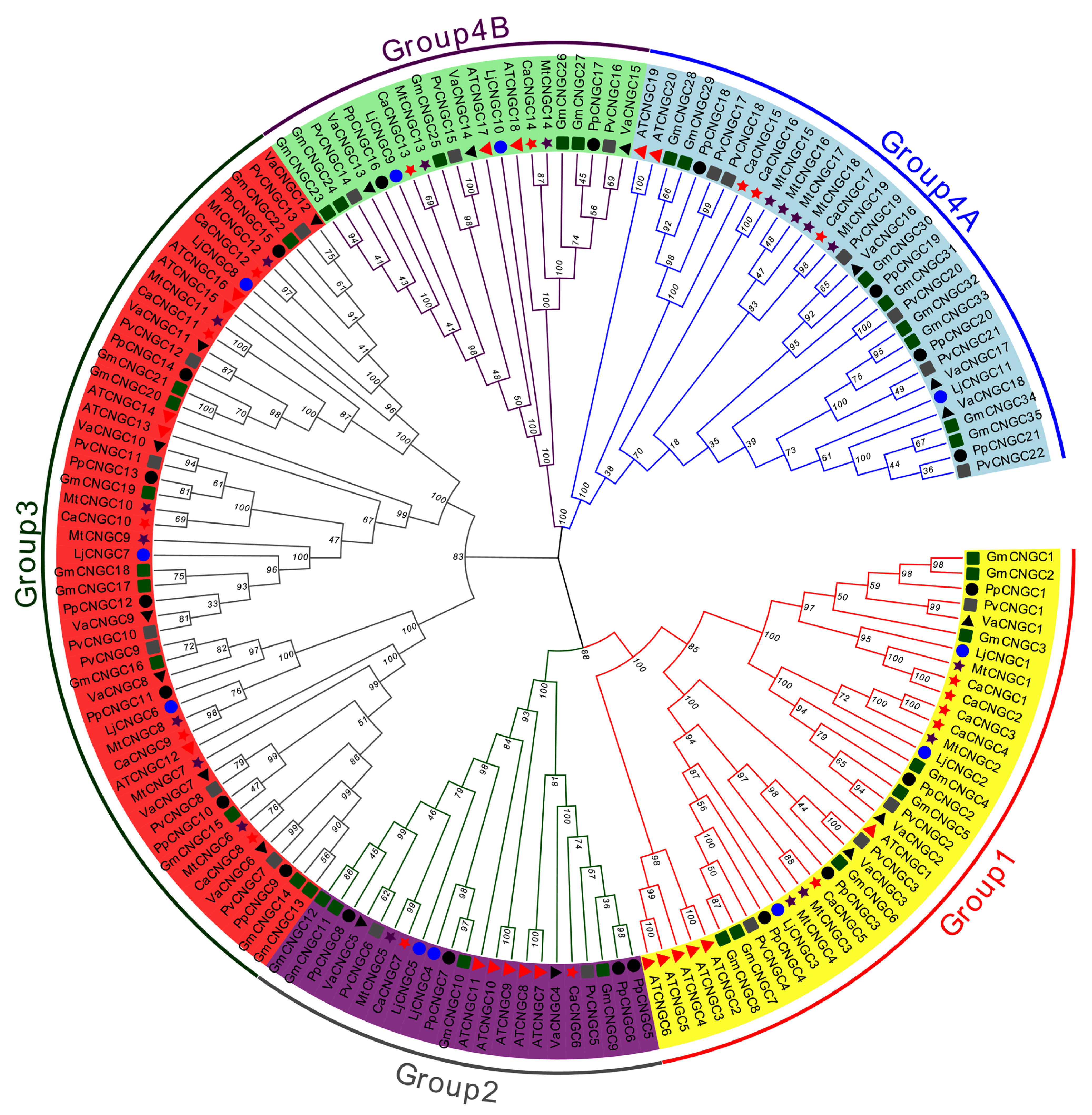 Biology 12 00439 g001 Biology 12 00439 g001