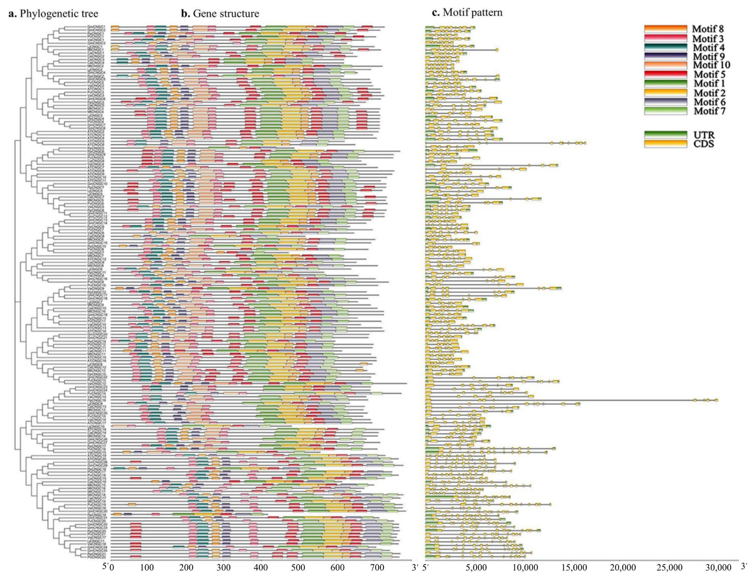 Biology 12 00439 g003 Biology 12 00439 g003